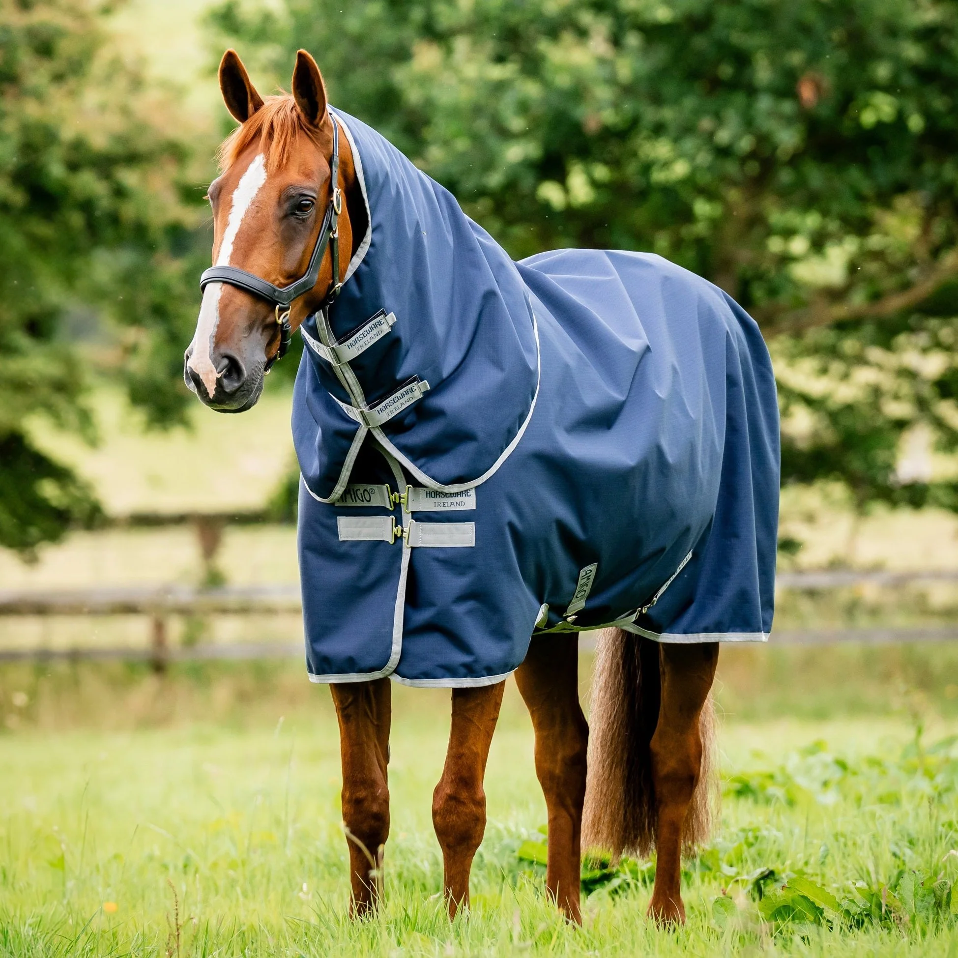Horseware Ireland Amigo Ripstop 900 Plus 0g - Image 9