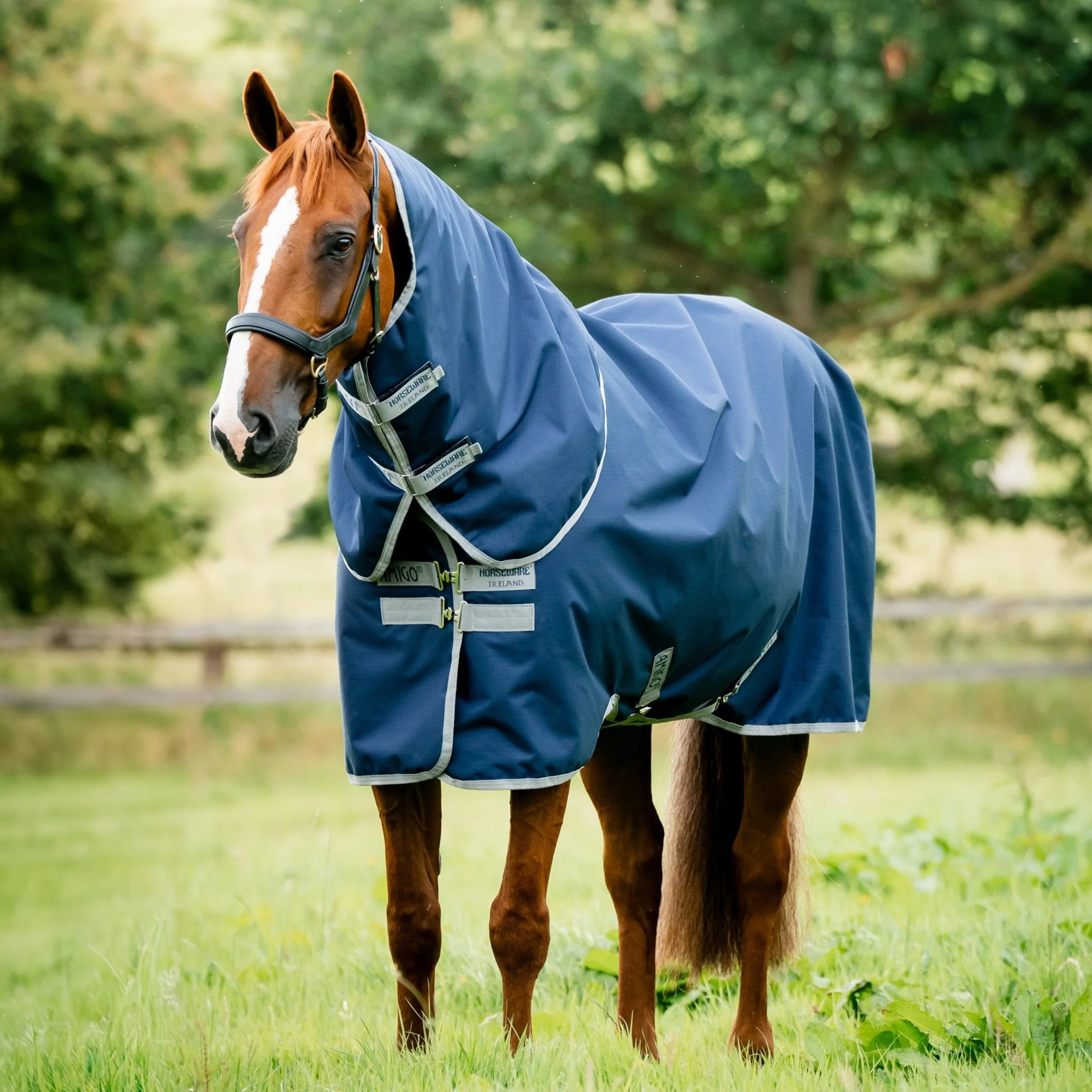 Horseware Ireland Amigo Ripstop 900 Plus 100g