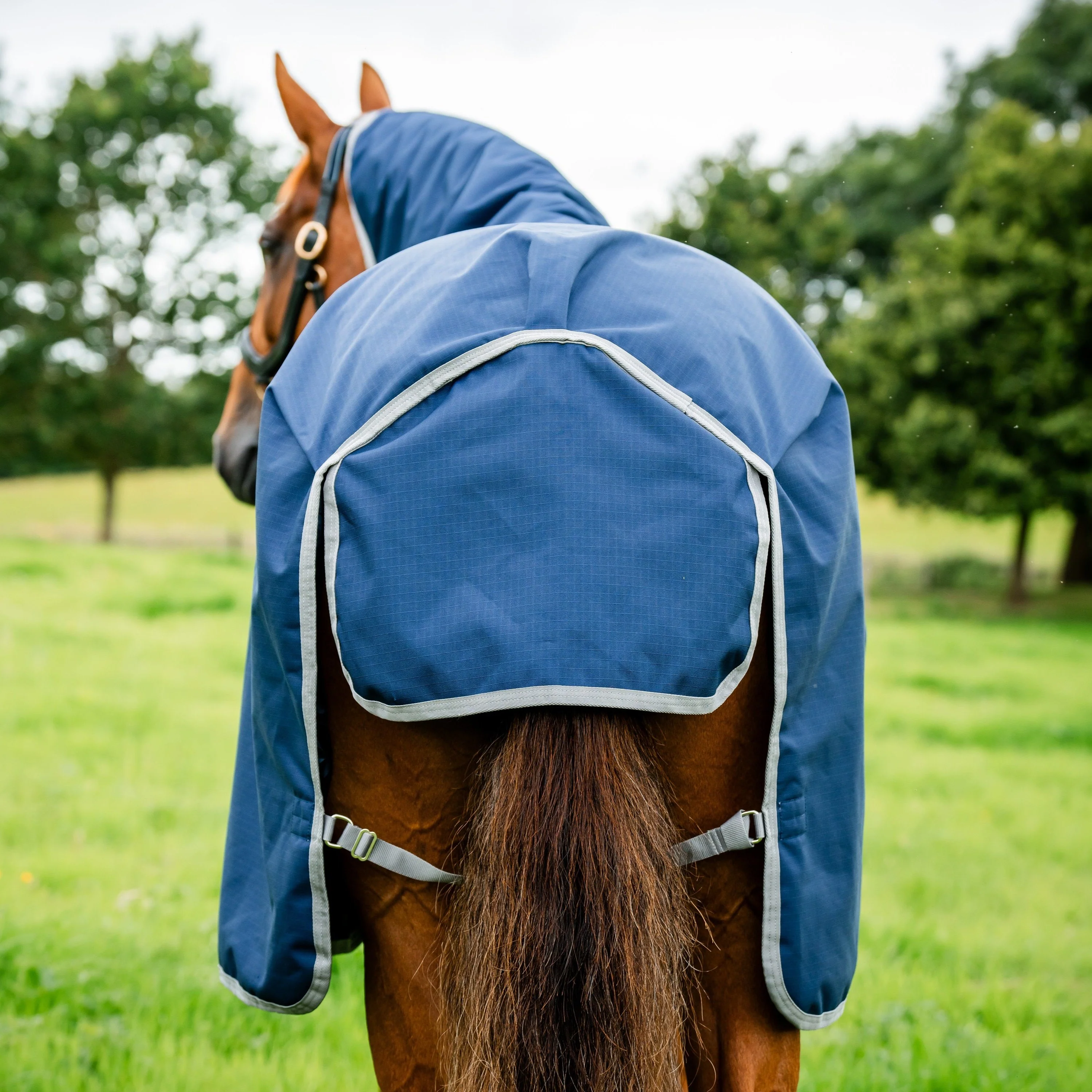 Horseware Ireland Amigo Ripstop 900 Plus 100g - Image 12