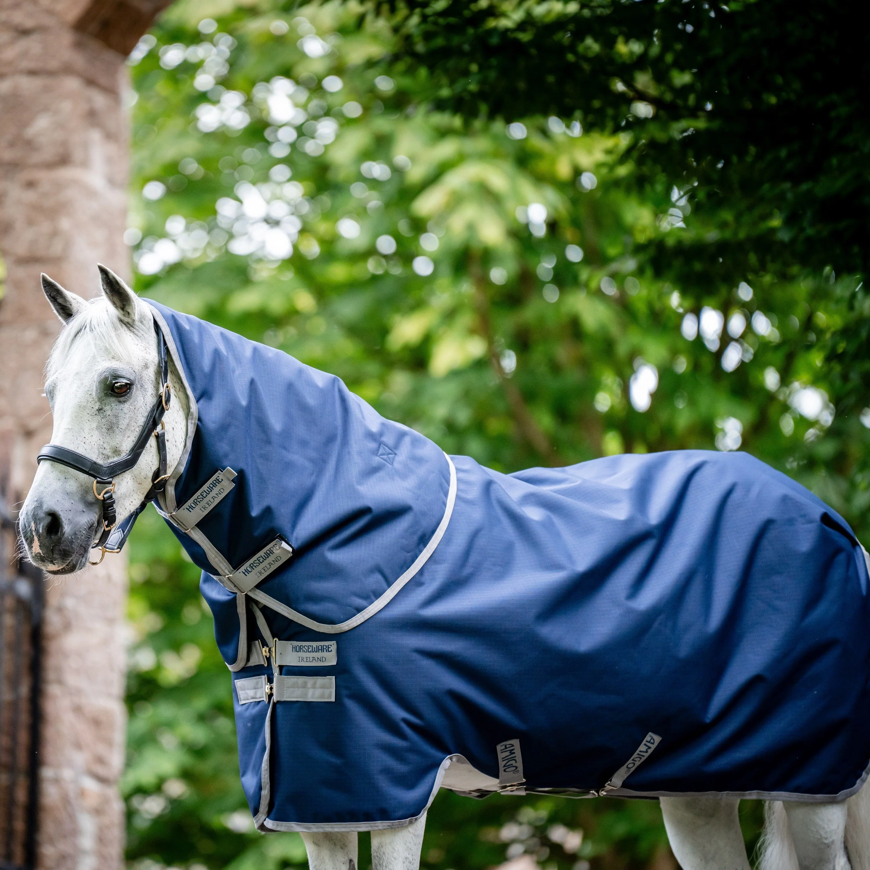 Horseware Ireland Amigo Ripstop 900 Plus 100g - Image 2