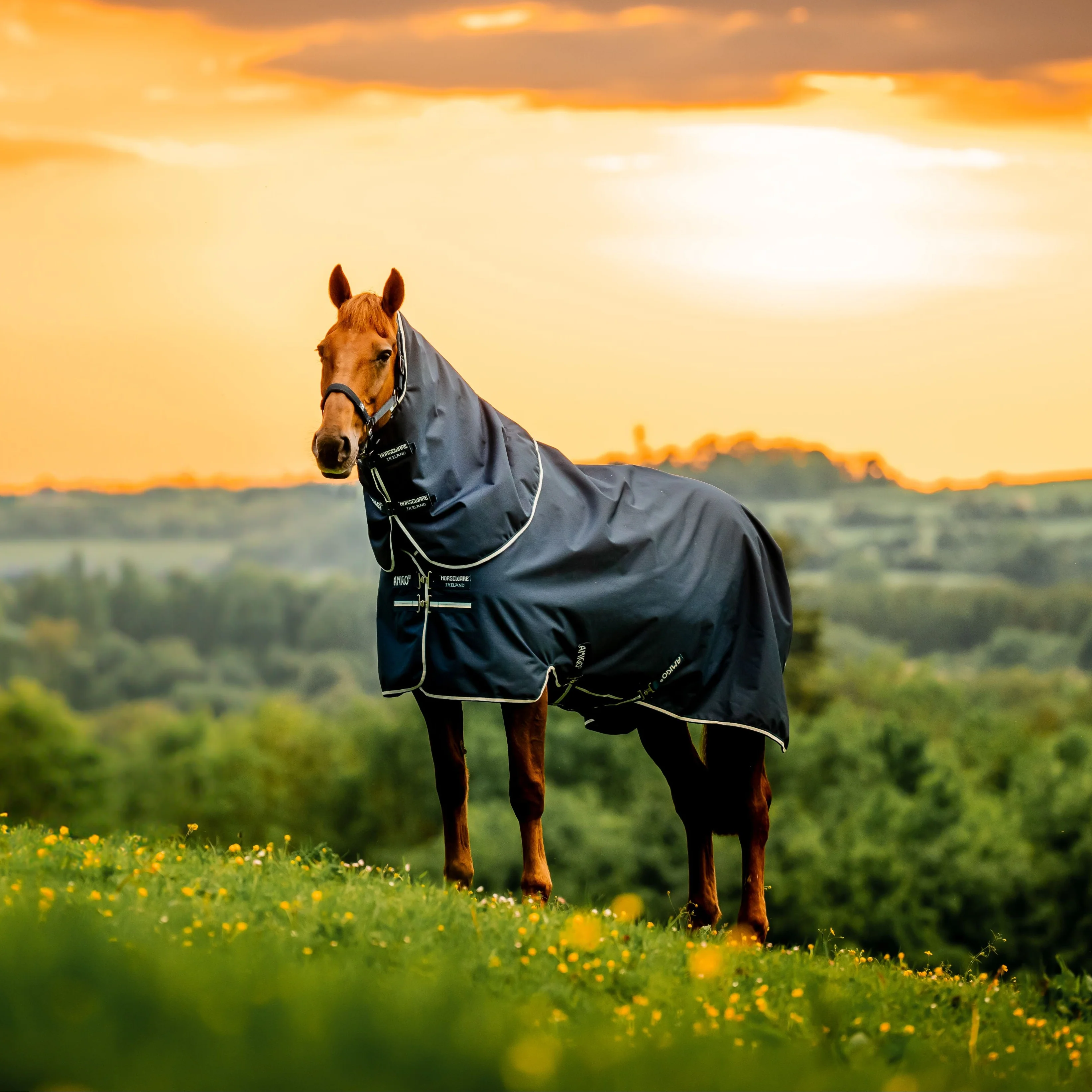 Horseware Ireland Amigo Ripstop 900 Plus 100g - Image 22