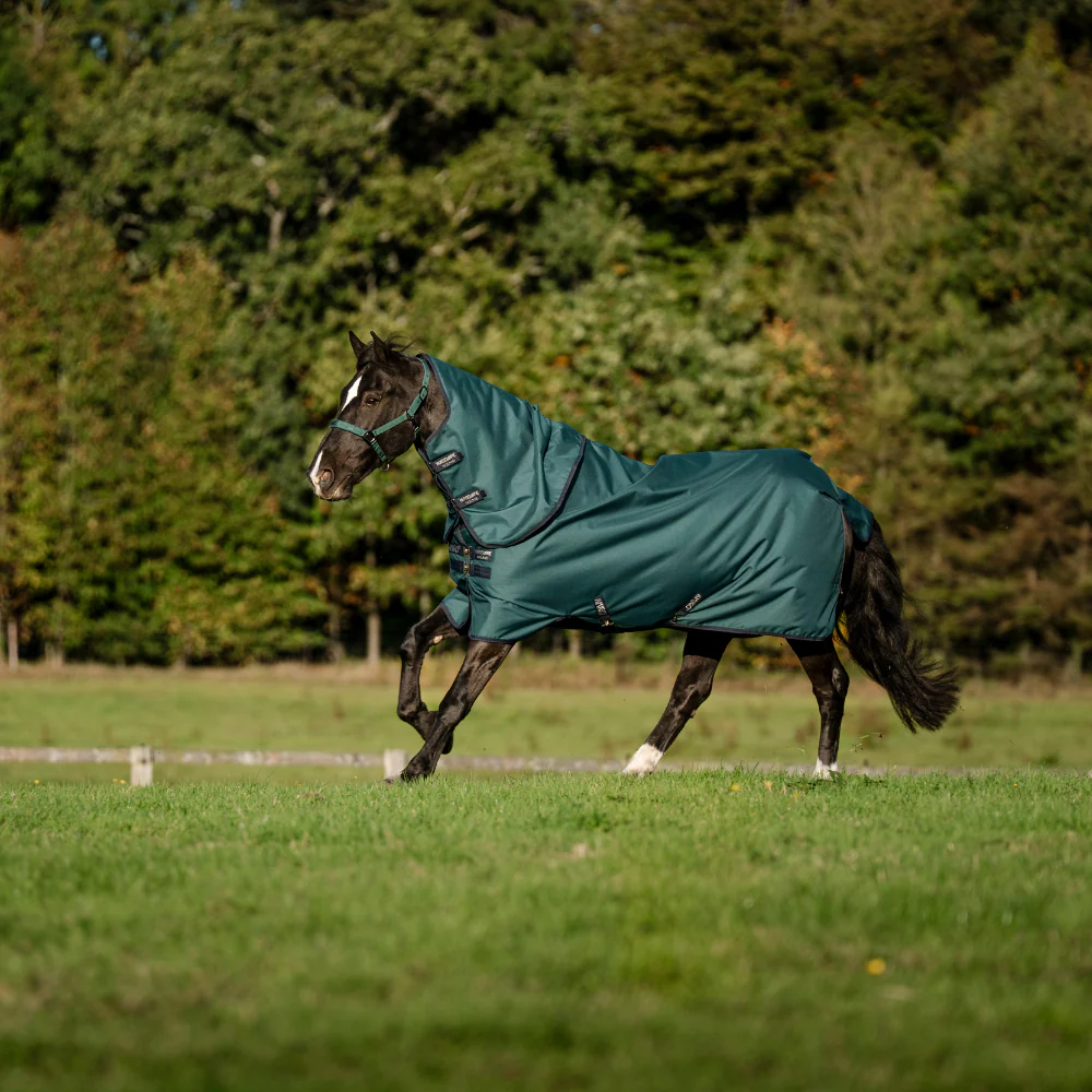 Horseware Ireland Amigo Ripstop 900 Plus 100g - Image 38
