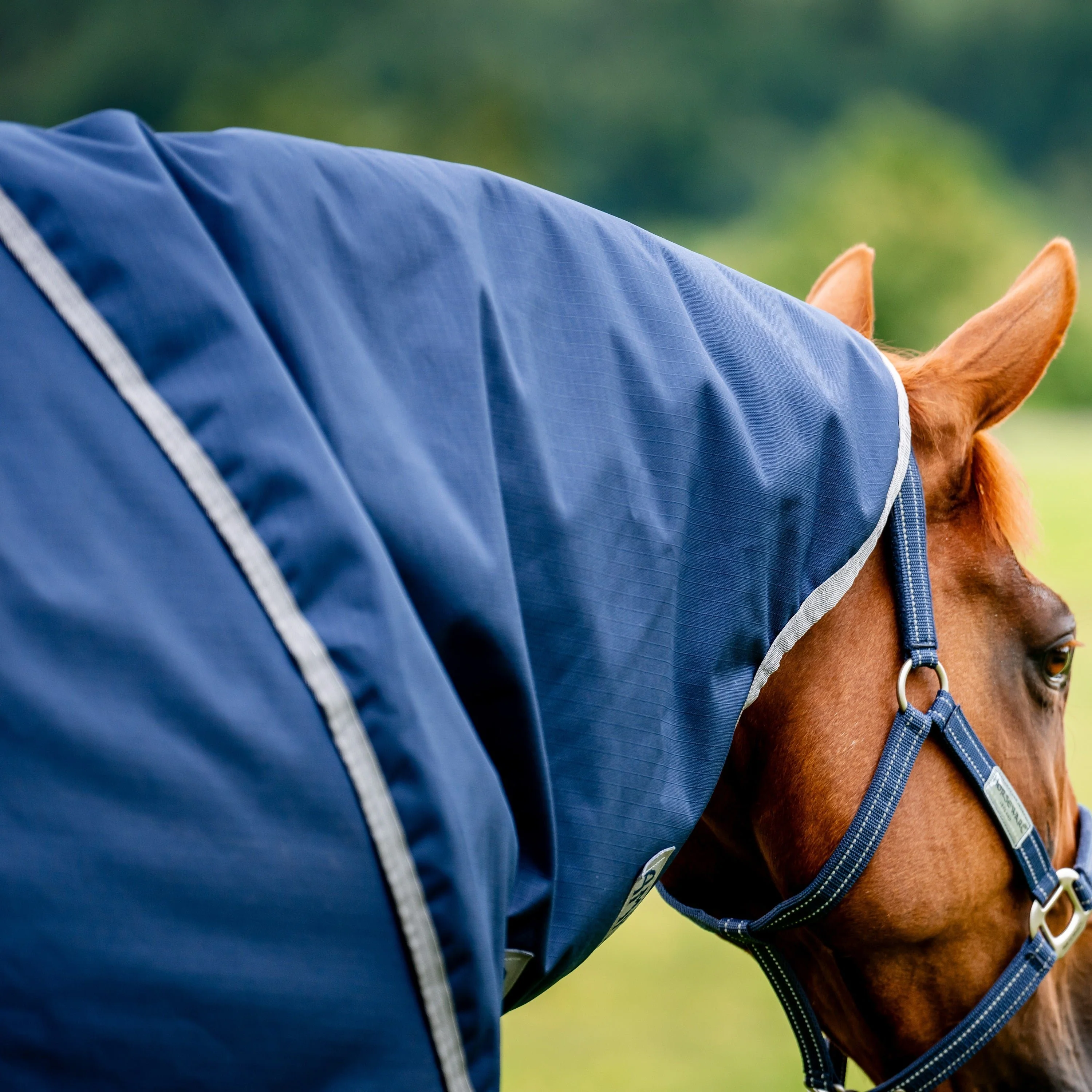Horseware Ireland Amigo Ripstop 900 Plus 100g - Image 4
