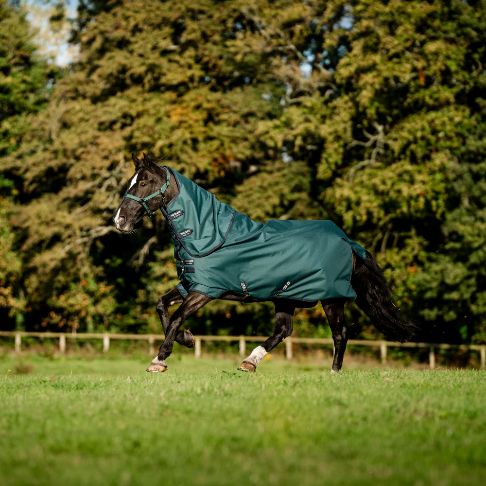 Horseware Ireland Amigo Ripstop 900 Plus 100g - Image 40