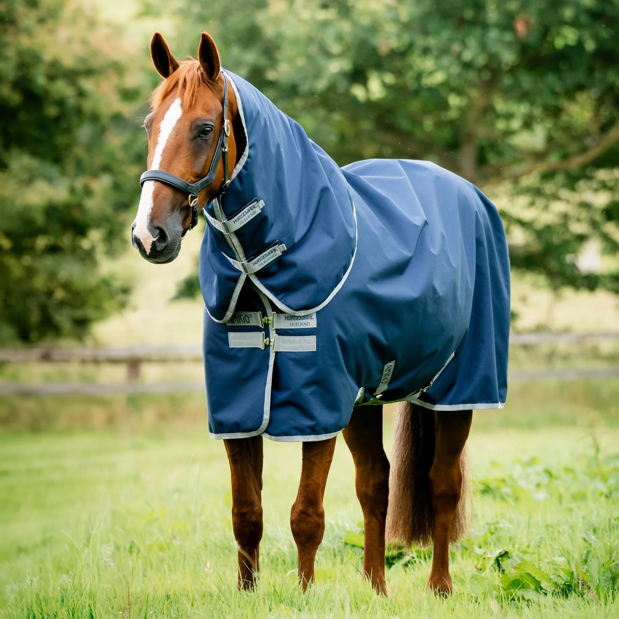 Horseware Ireland Amigo Ripstop 900 Plus 200g - Image 8