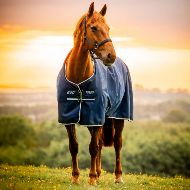 Horseware Ireland Amigo Ripstop 900D 100g Turnout Rug - Image 2