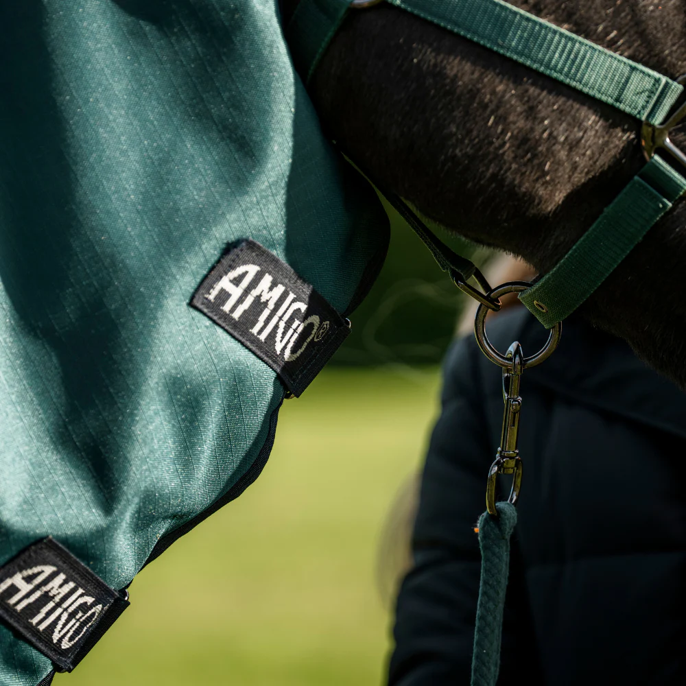 Horseware Ireland Amigo Ripstop 900D Plus 100g Pony Turnout Rug - Image 21
