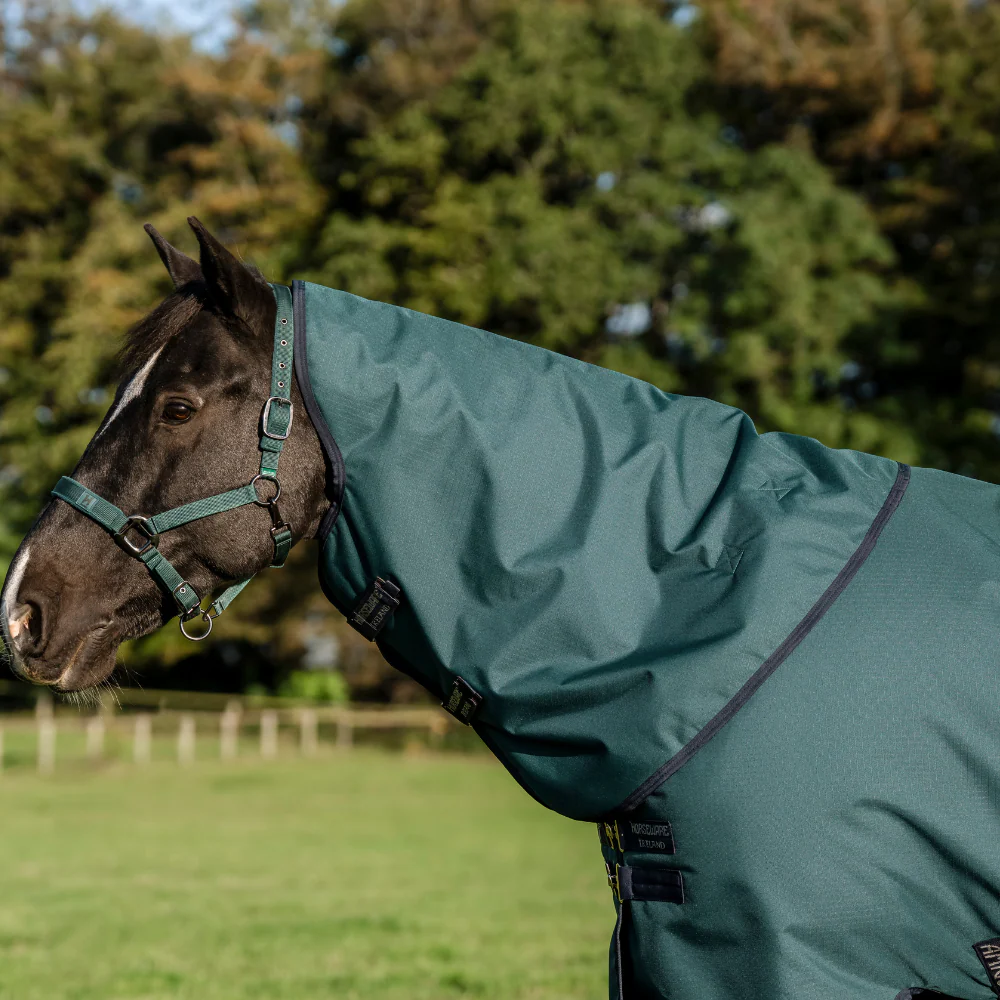 Horseware Ireland Amigo Ripstop 900D Plus 50g Pony Turnout Rug - Image 9