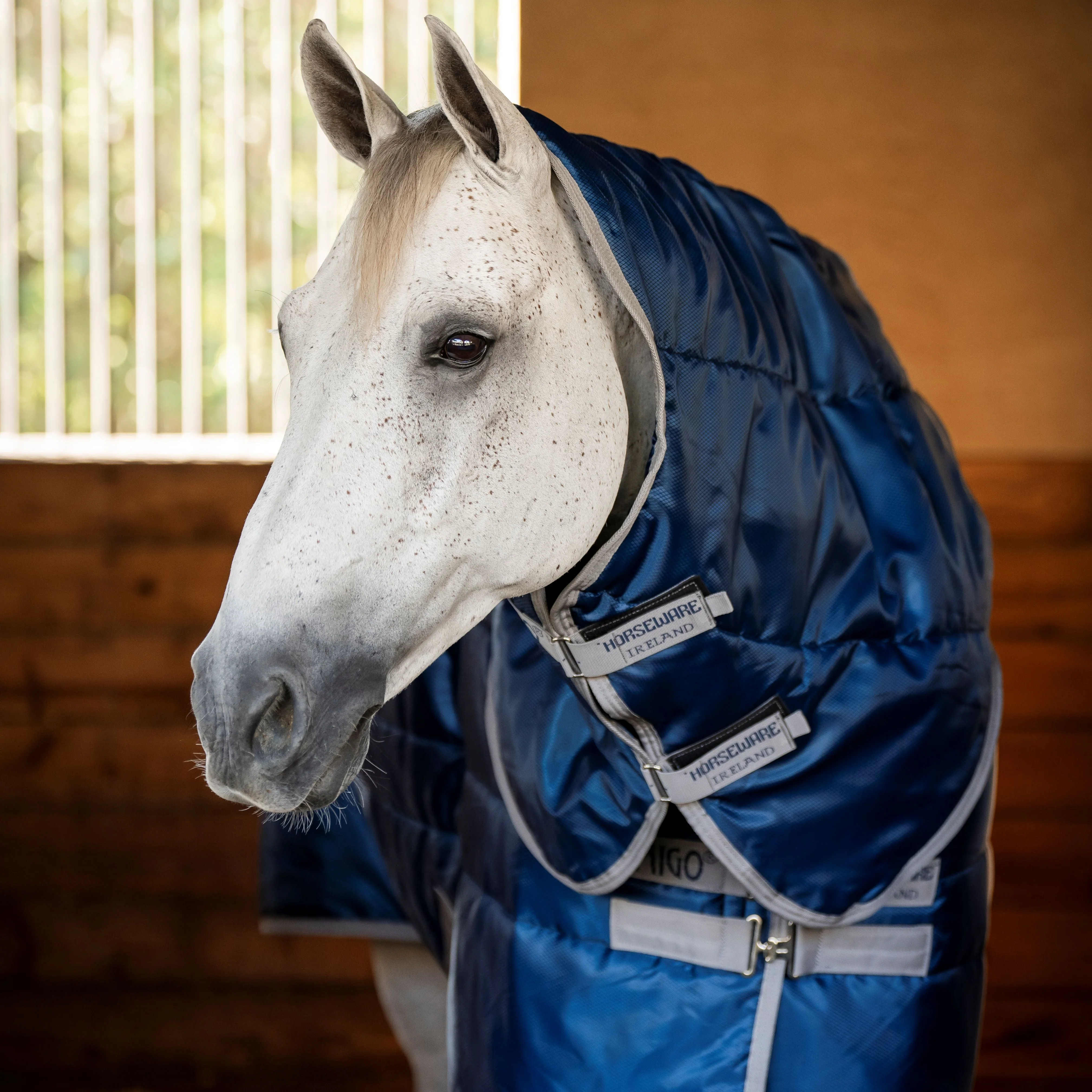 Horseware Ireland Amigo Ripstop Insulator 200g Plus Pony Stable Rug - Image 4