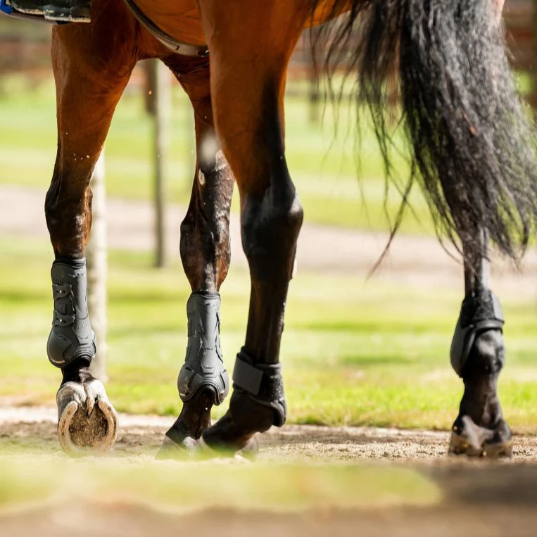 Horseware Ireland Classic Fetlock Boots - Image 4