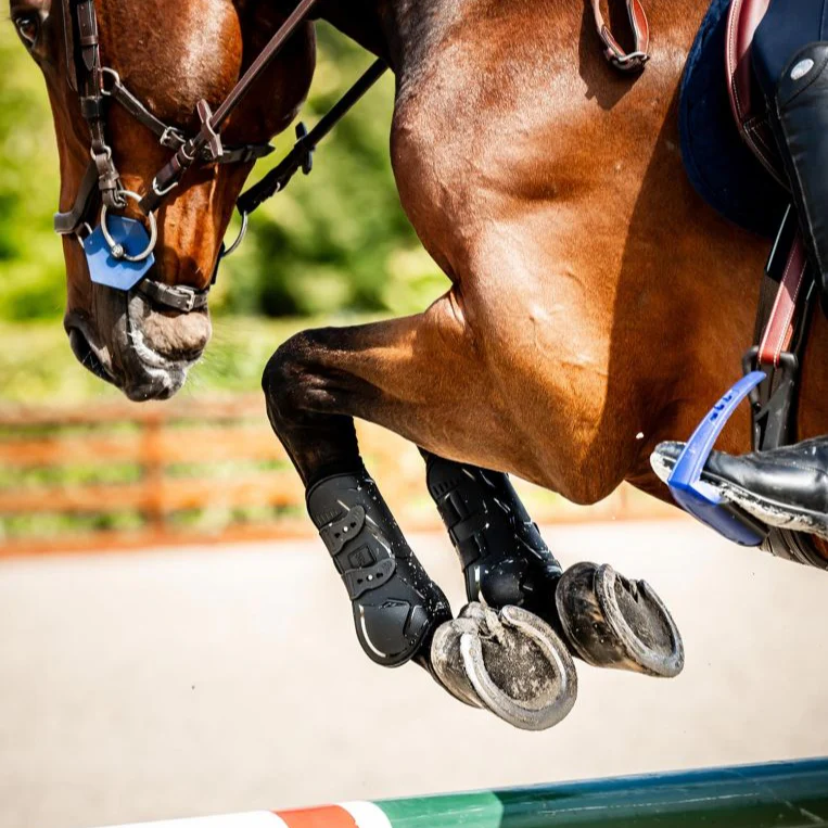 Horseware Ireland Classic Tendon Boots - Image 7