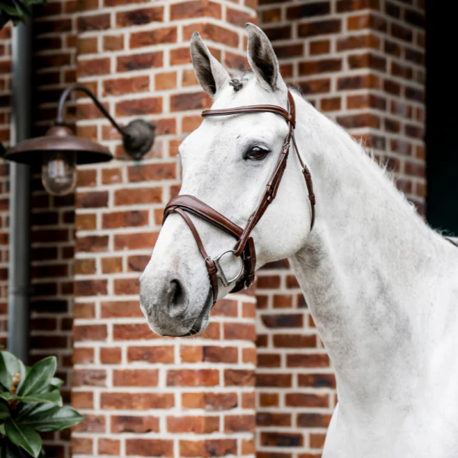 Horseware Ireland Dressage Flash Bridle - Image 3