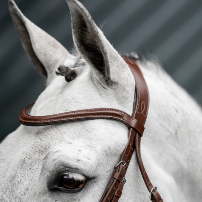 Horseware Ireland Dressage Flash Bridle - Image 5