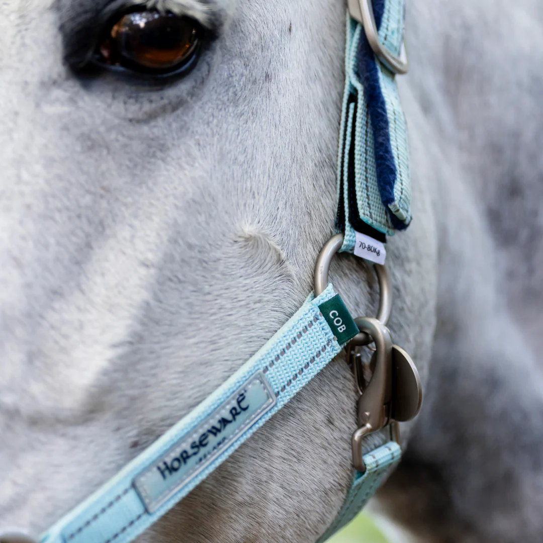 Horseware Ireland Field Safe Headcollar - Image 7