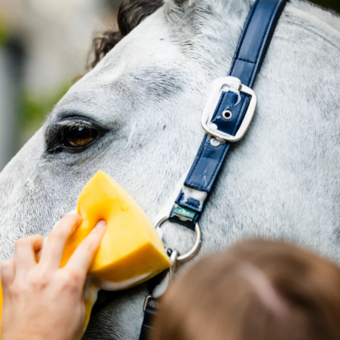 Horseware Ireland Grooming Headcollar - Image 7