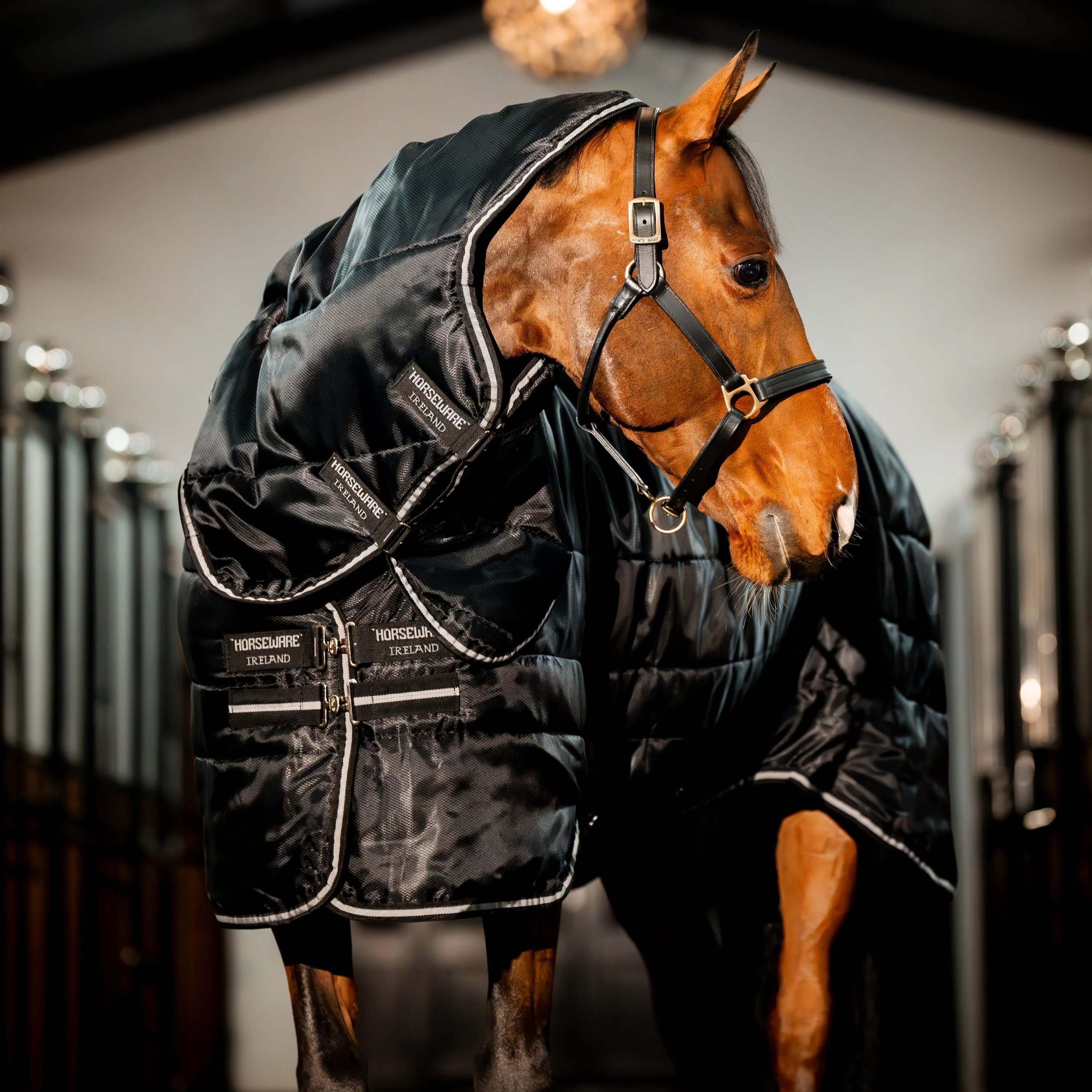 Horseware Ireland Easy-Layer 400g Stable Rug Plus - Image 3