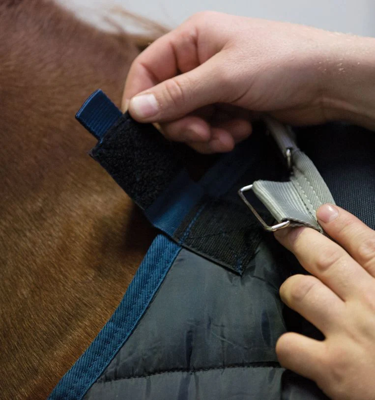 Horseware Ireland Horseware Liner Heavy 300g - Image 4