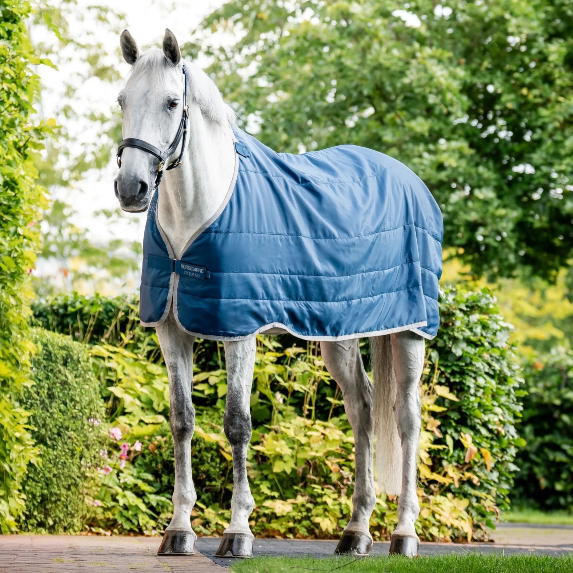 Horseware Ireland Ionic 200g Therapy Liner