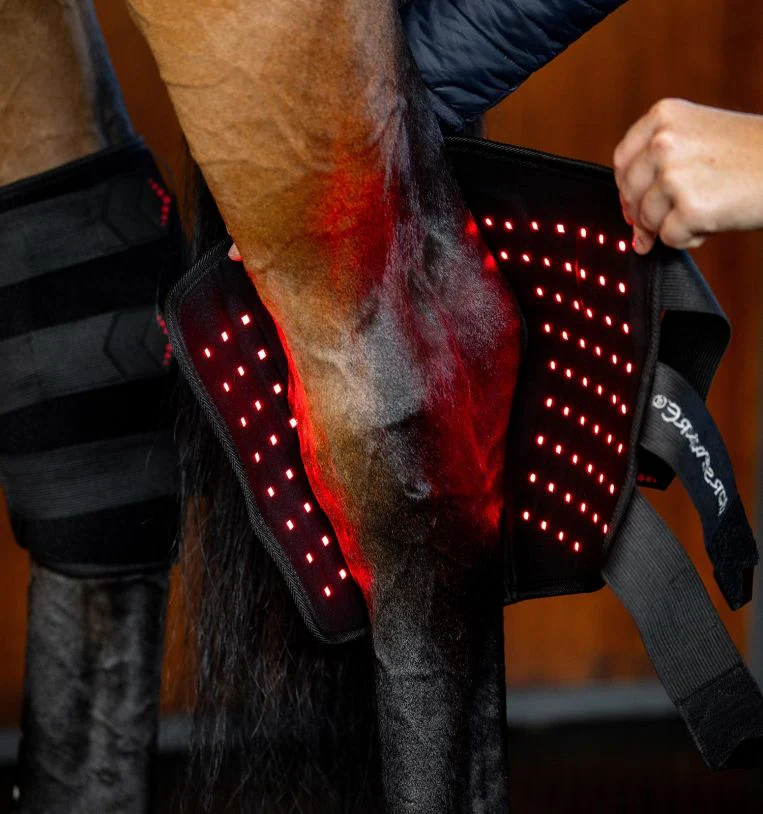 Horseware Ireland LED Red Light Therapy Hock Boot - Image 2