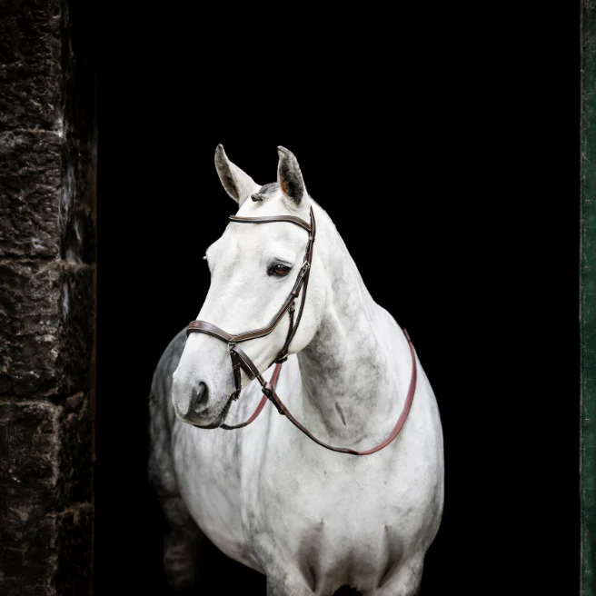 Horseware Ireland Micklem Bitless Bridle - Image 2