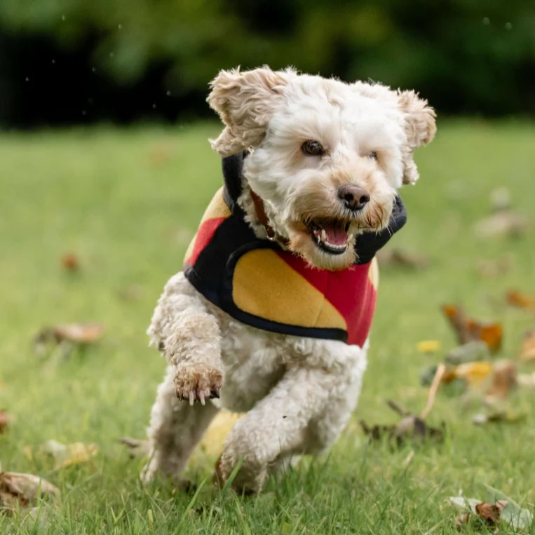 Horseware Ireland Newmarket Dog Fleece - Image 10