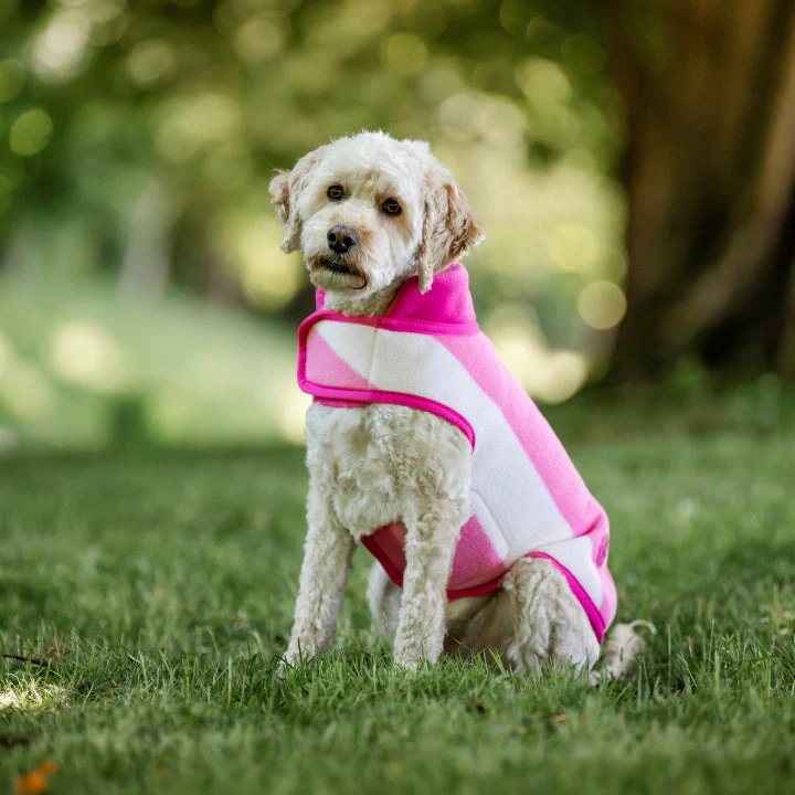 Horseware Ireland Newmarket Dog Fleece - Image 29