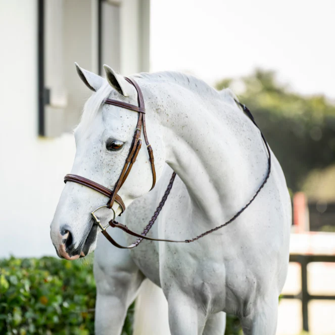 Horseware Ireland Pony Hunter Cavesson Bridle with Reins