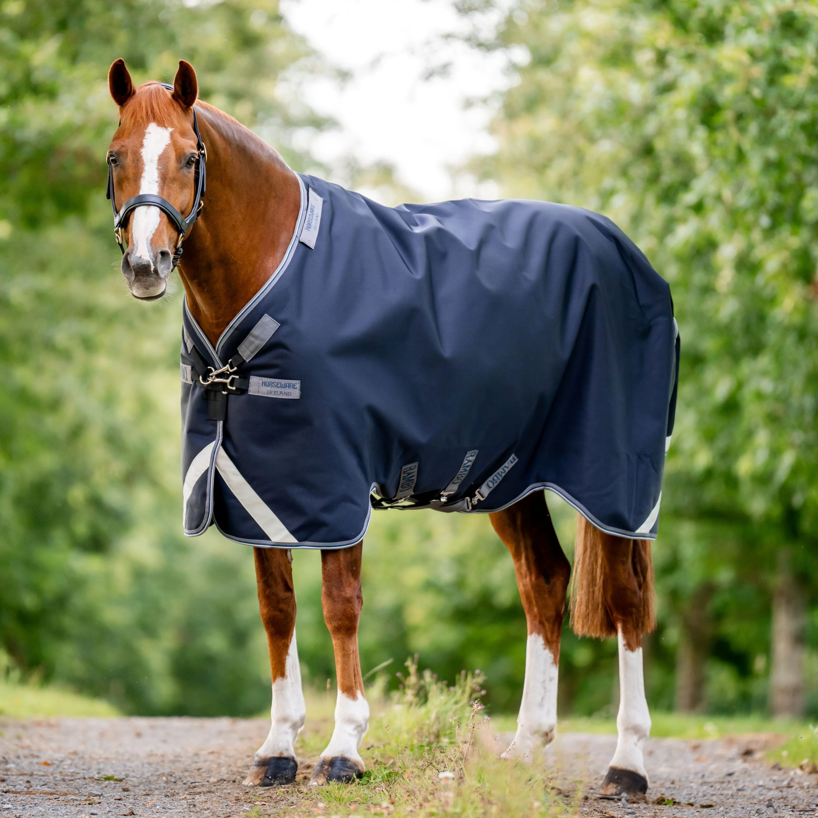 Horseware Ireland Rambo 1680D 250g Vari-Layer Turnout Rug - Image 8