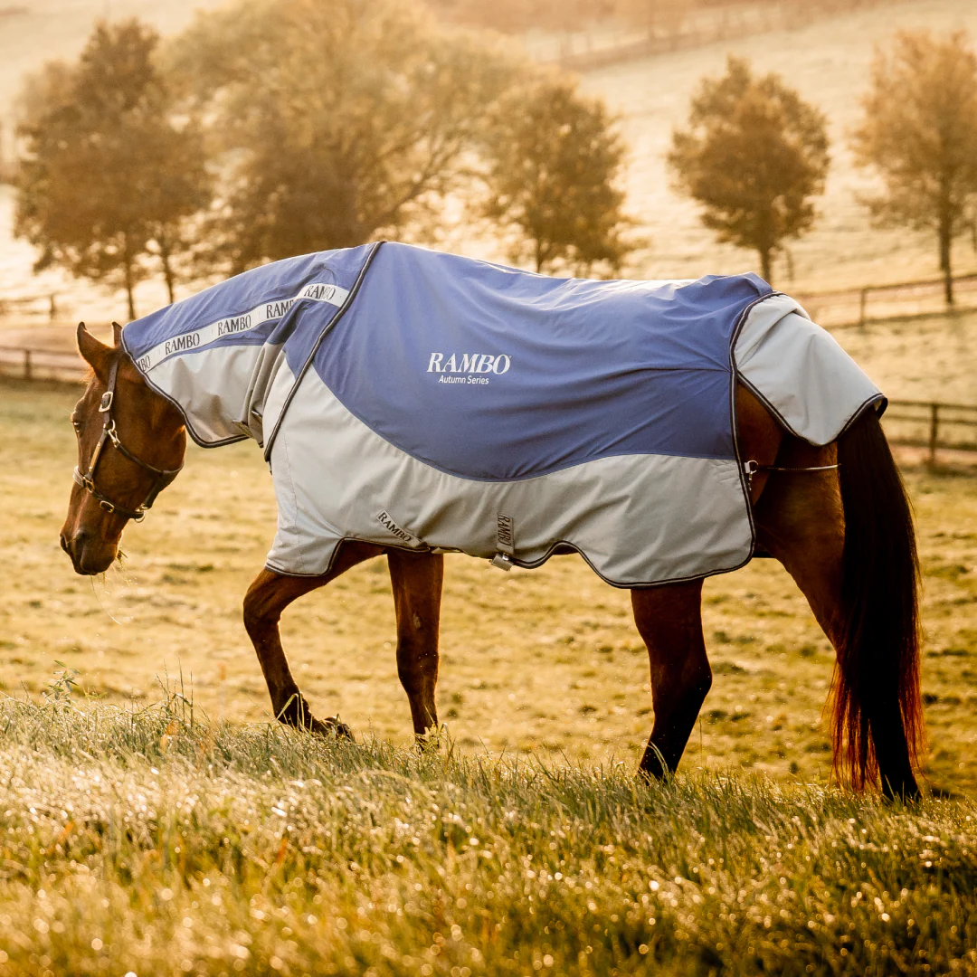 Horseware Ireland Rambo Autumn Series - Image 3