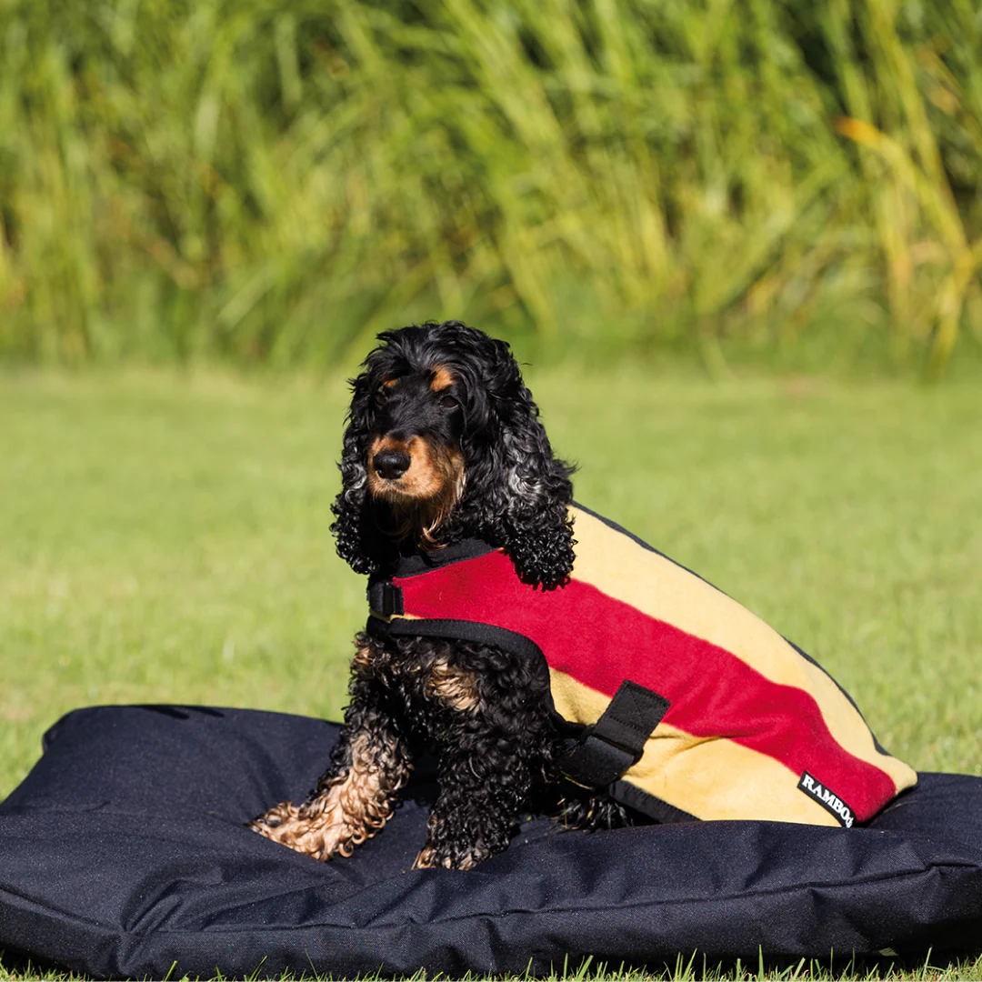 Horseware Ireland Rambo Deluxe Dog Rug 200g - Image 3