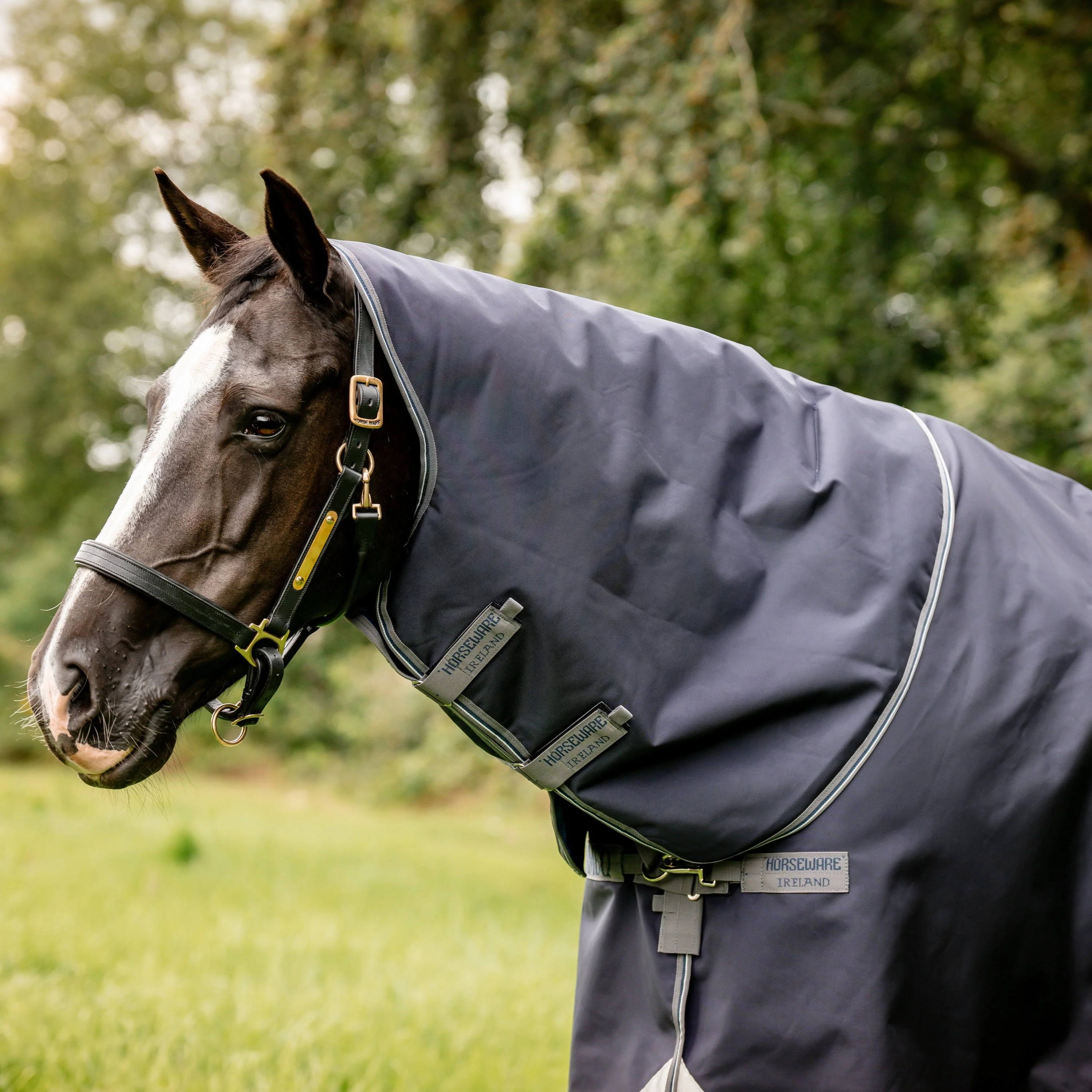 Horseware Ireland Rambo Optimo Turnout Plus - Image 9