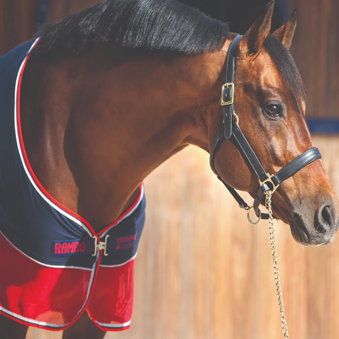 Horseware Ireland Rambo Sport Cooler - Image 3