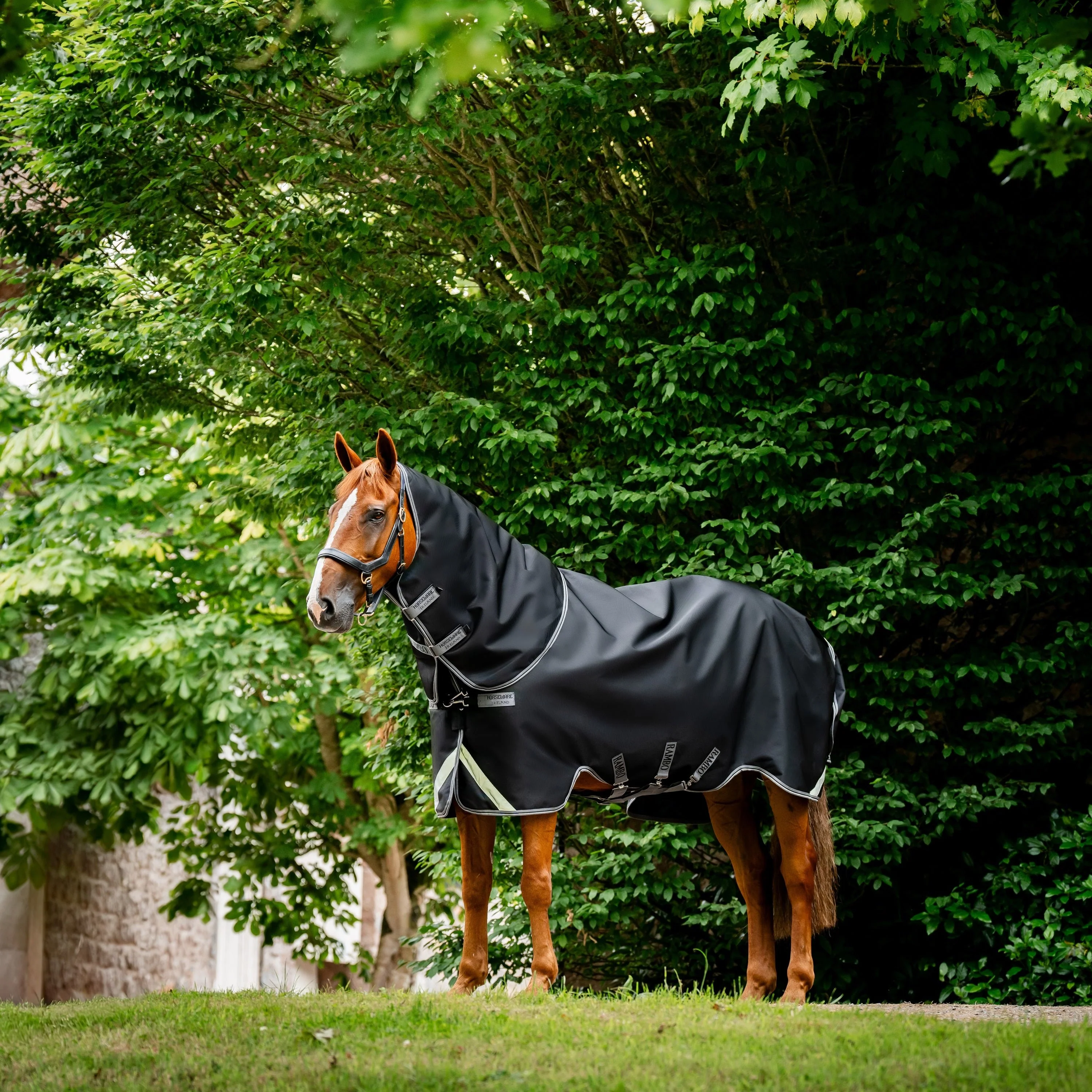 Horseware Ireland Rambo Supreme 1680D Turnout Plus 0g - Image 23