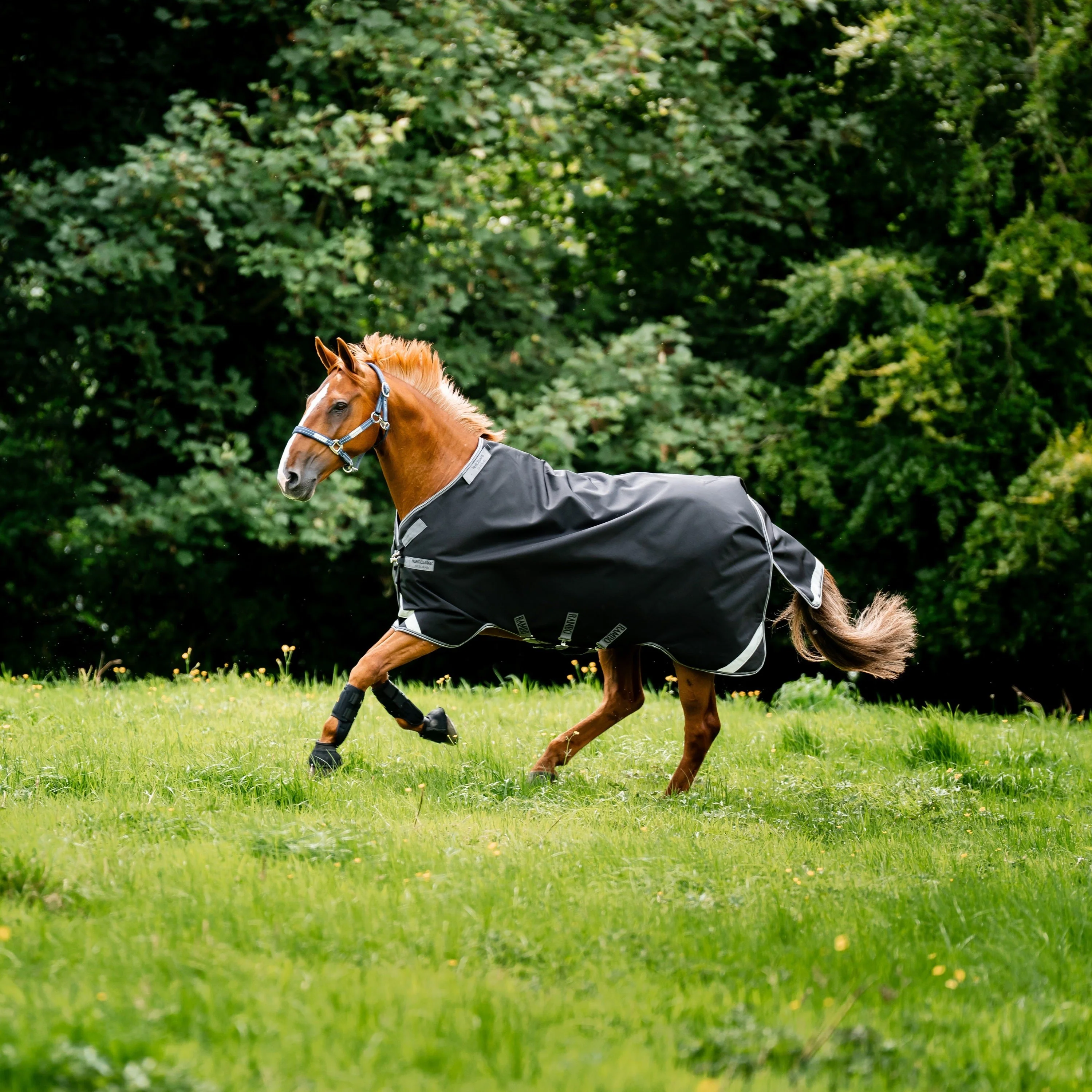 Horseware Ireland Rambo Supreme 1680D Turnout Vari-Layer 450g - Image 32