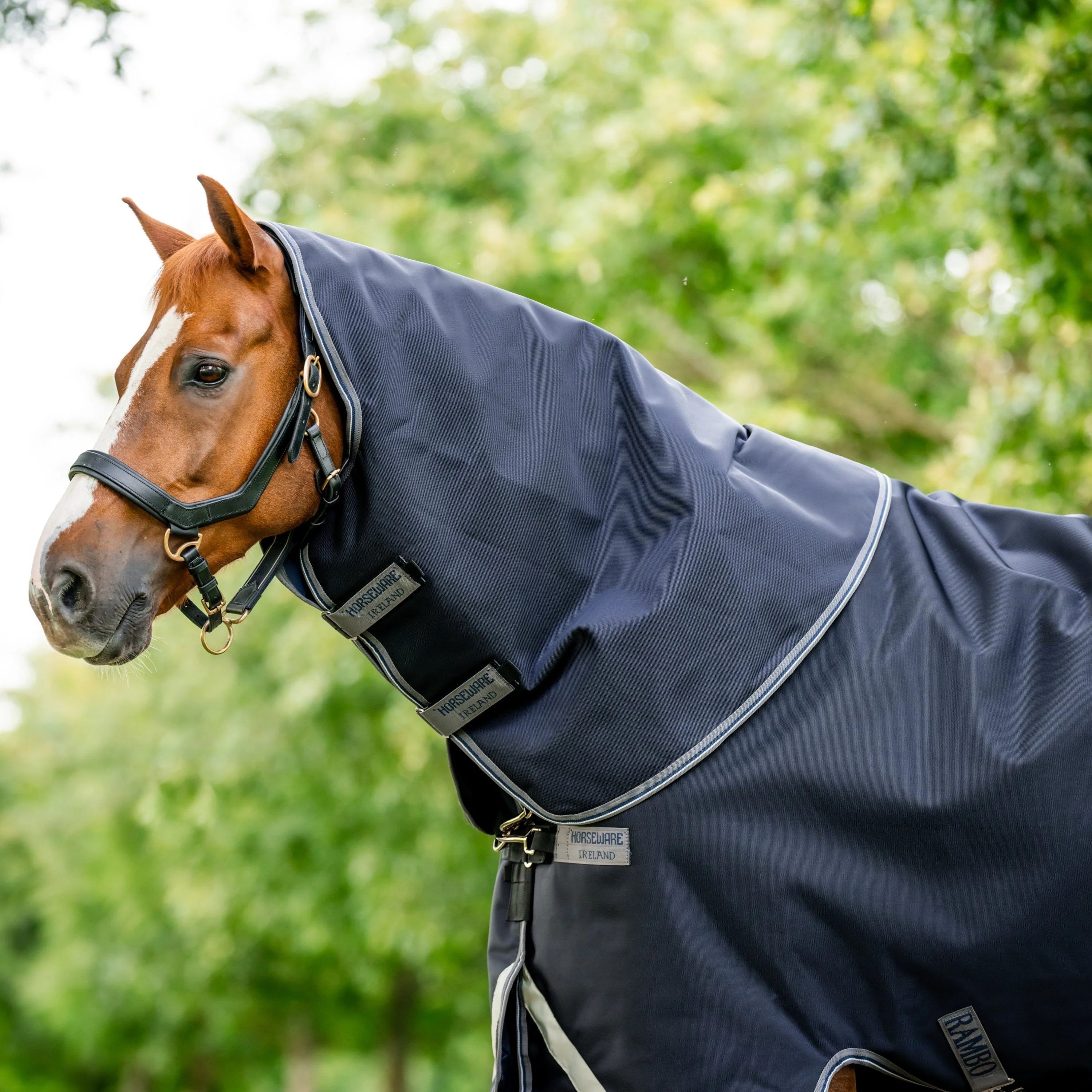 Horseware Ireland Rambo Supreme Hood 50g - Image 2