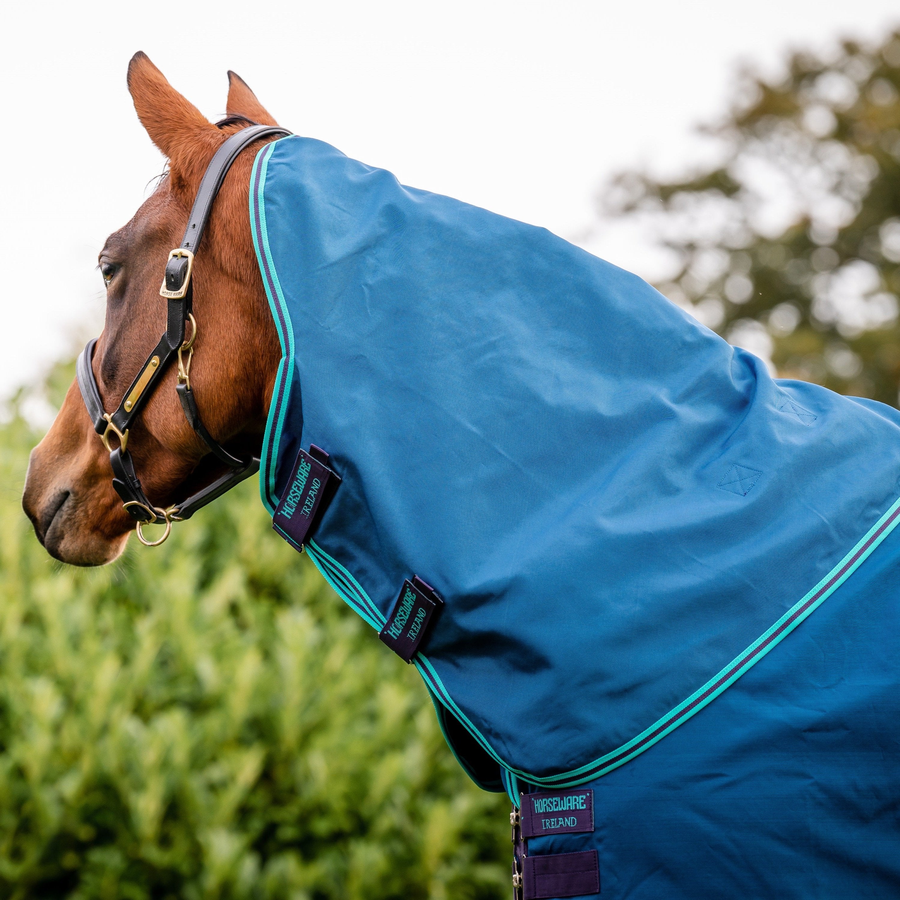 Horseware Ireland Rhino Turnout Hood 0g - Image 3