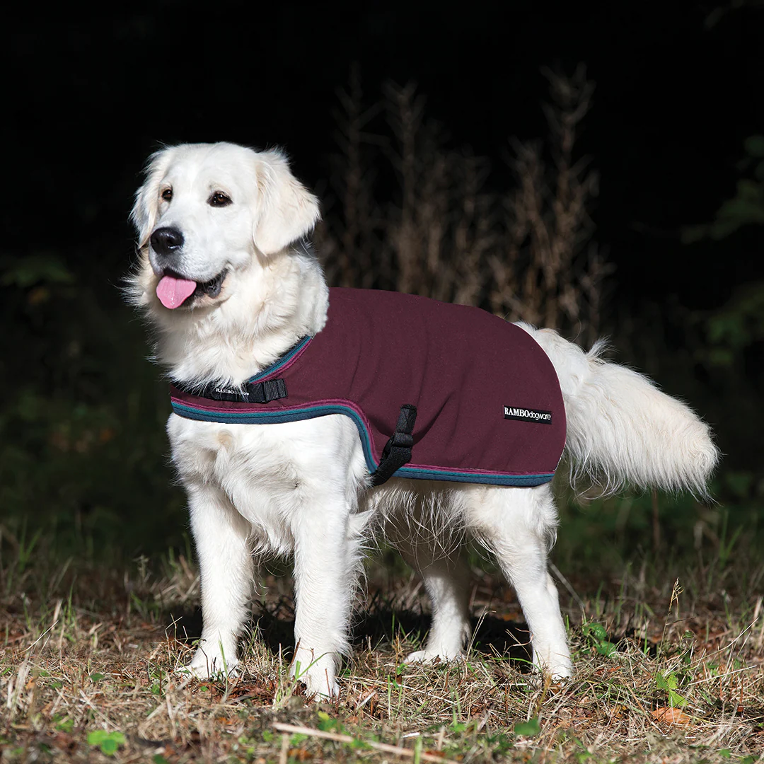 Horseware Ireland Rambo Waterproof Fleece Dog Rug - Image 2