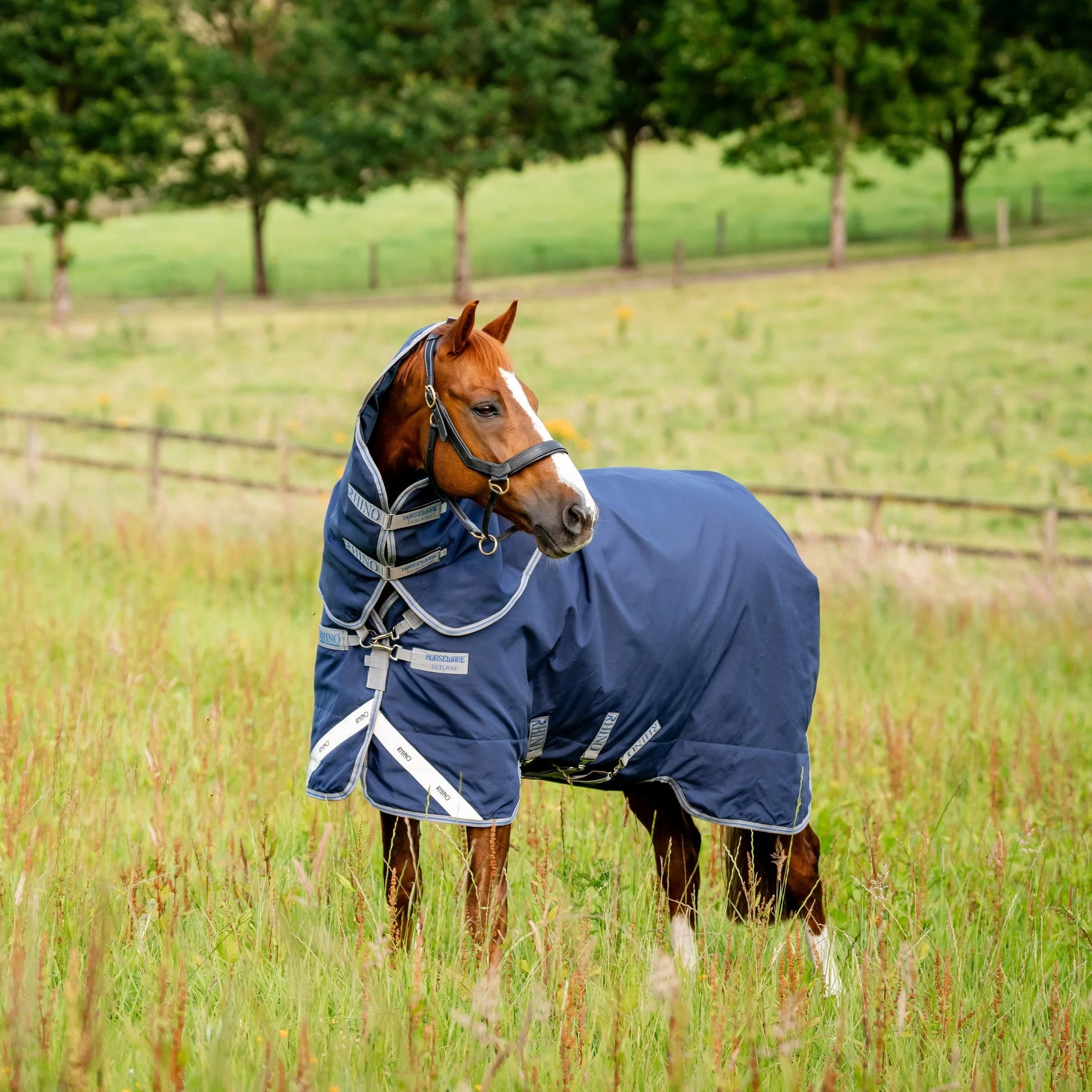 Horseware Ireland Rhino Plus Lite 0g - Image 2