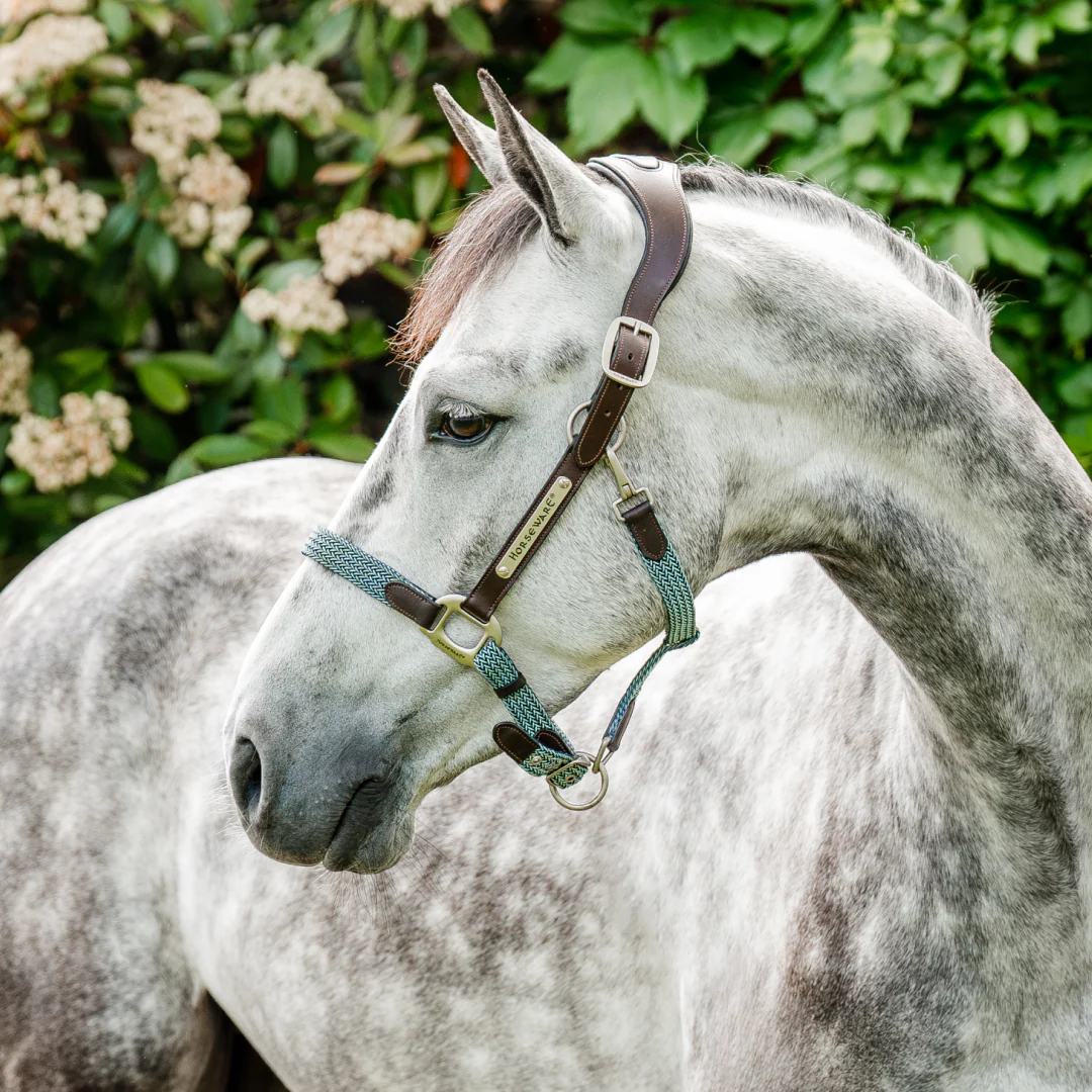 Horseware Ireland Signature Braided Headcollar