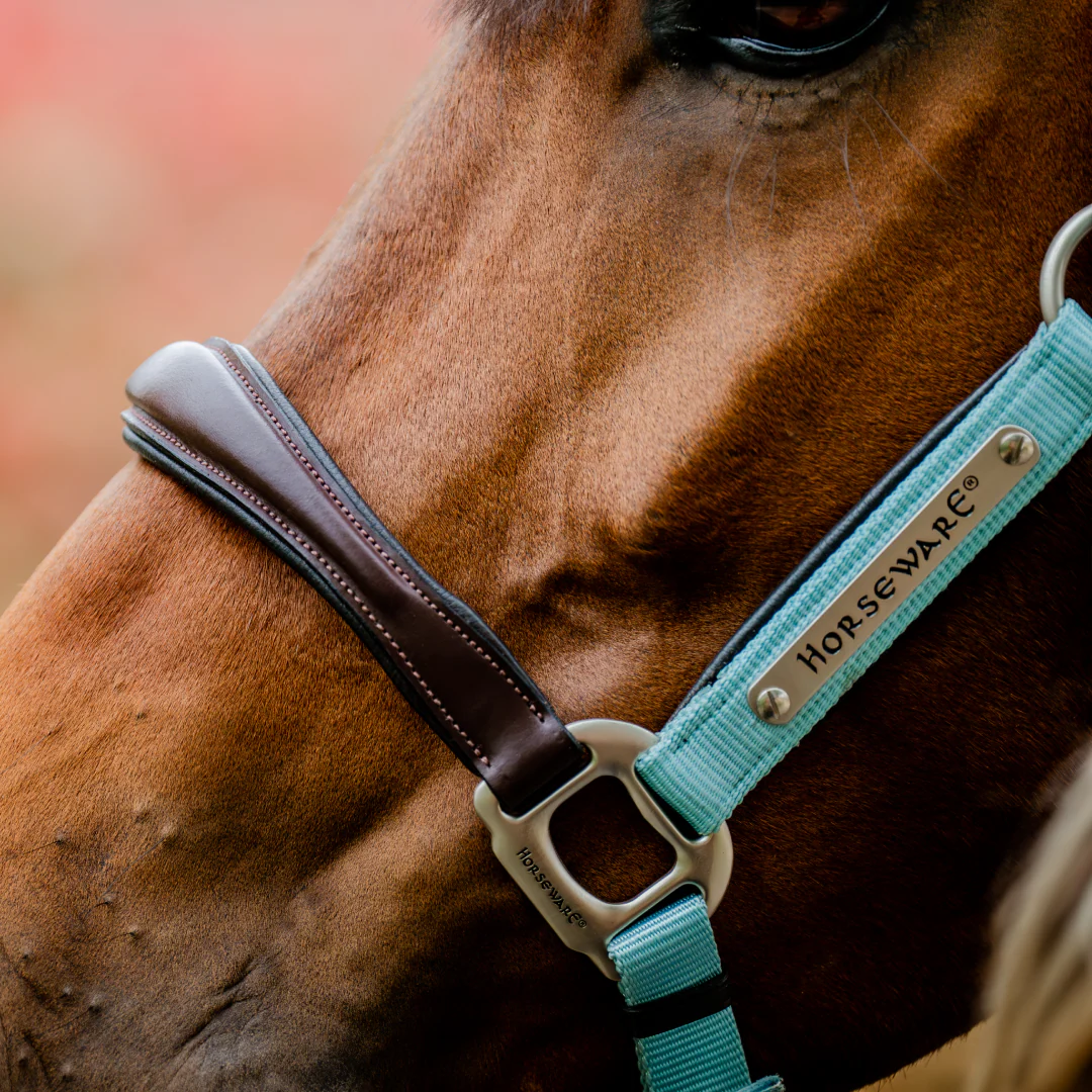 Horseware Ireland Signature Competition Headcollar - Image 2