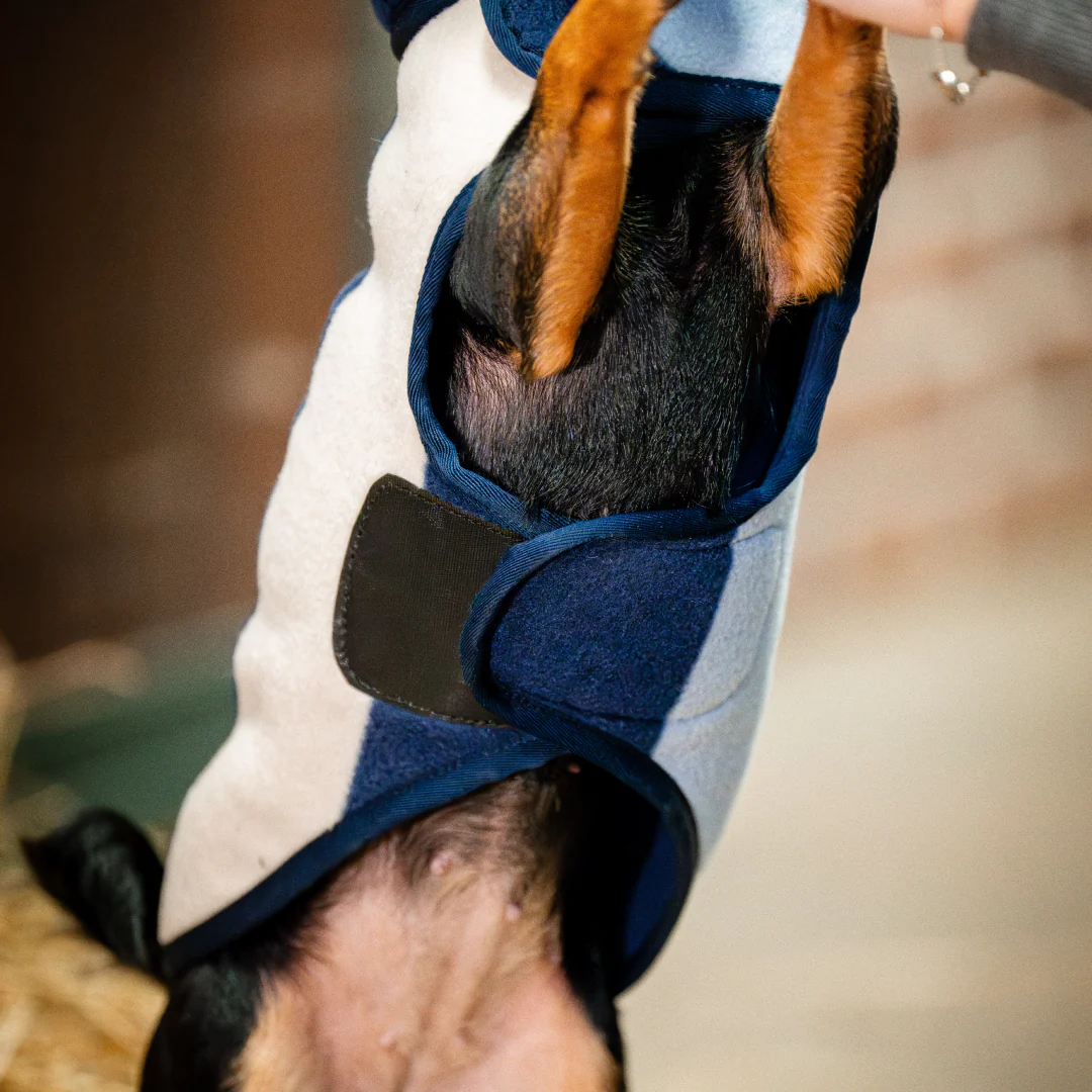 Horseware Ireland Signature Dog Fleece - Image 5