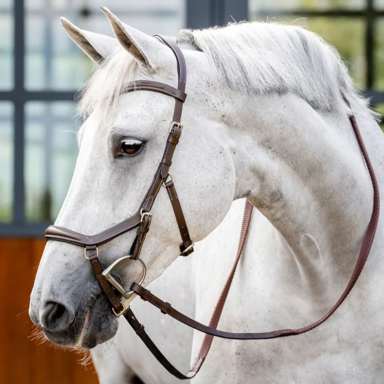 Horseware Micklem Deluxe Competition Bridle - Image 2