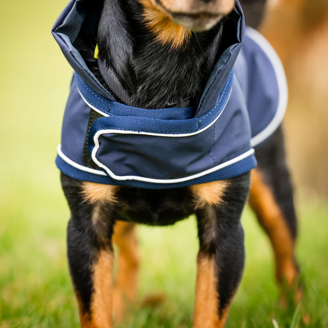Horseware Signature Dog Rain Coat - Image 2