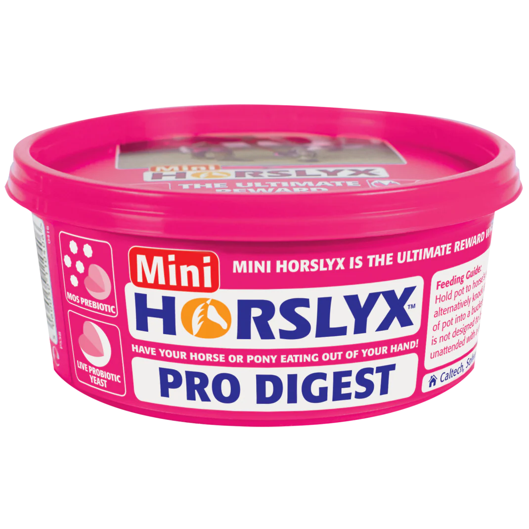 Horslyx Pro Digest Balancer