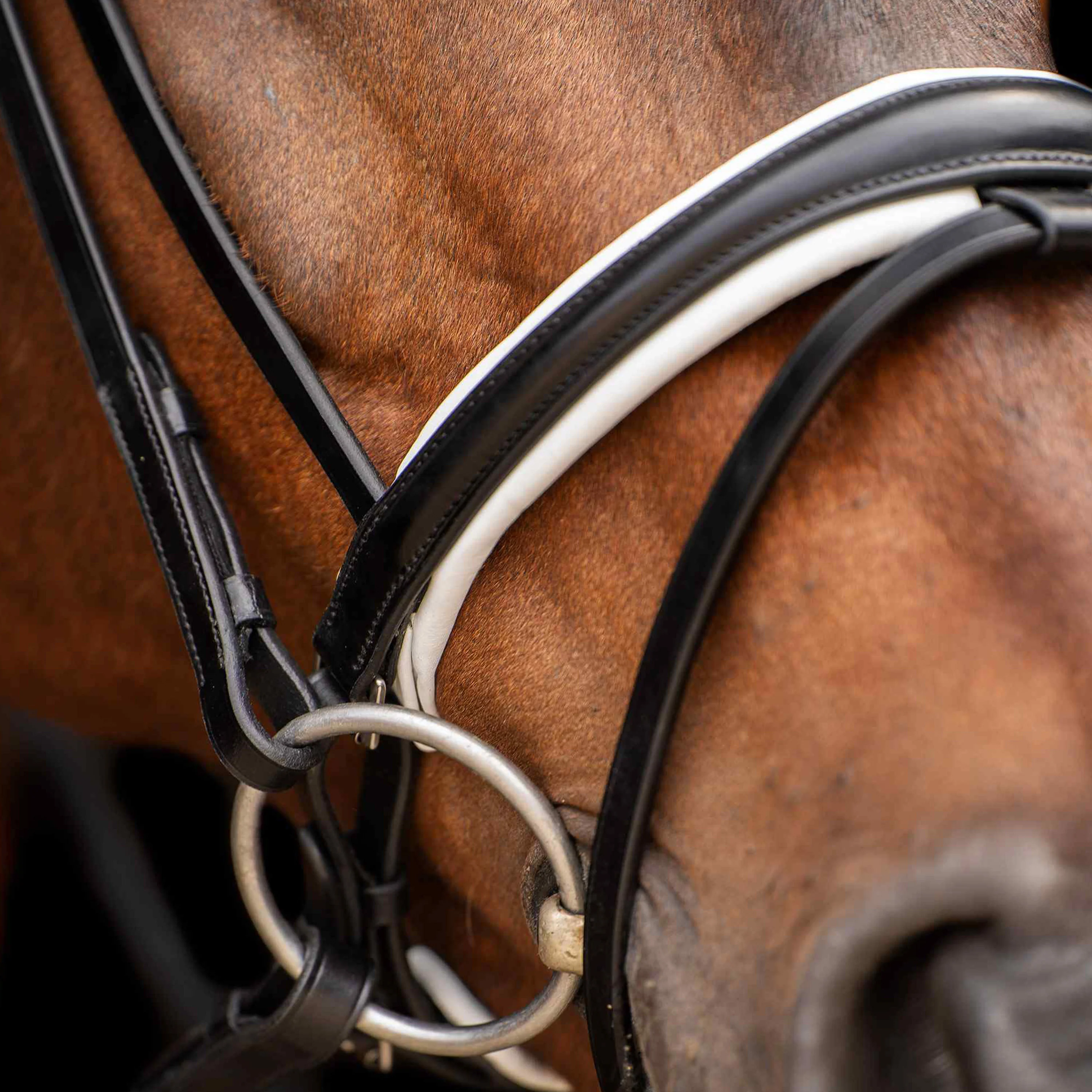 HV Polo Legacy Deluxe Bridle