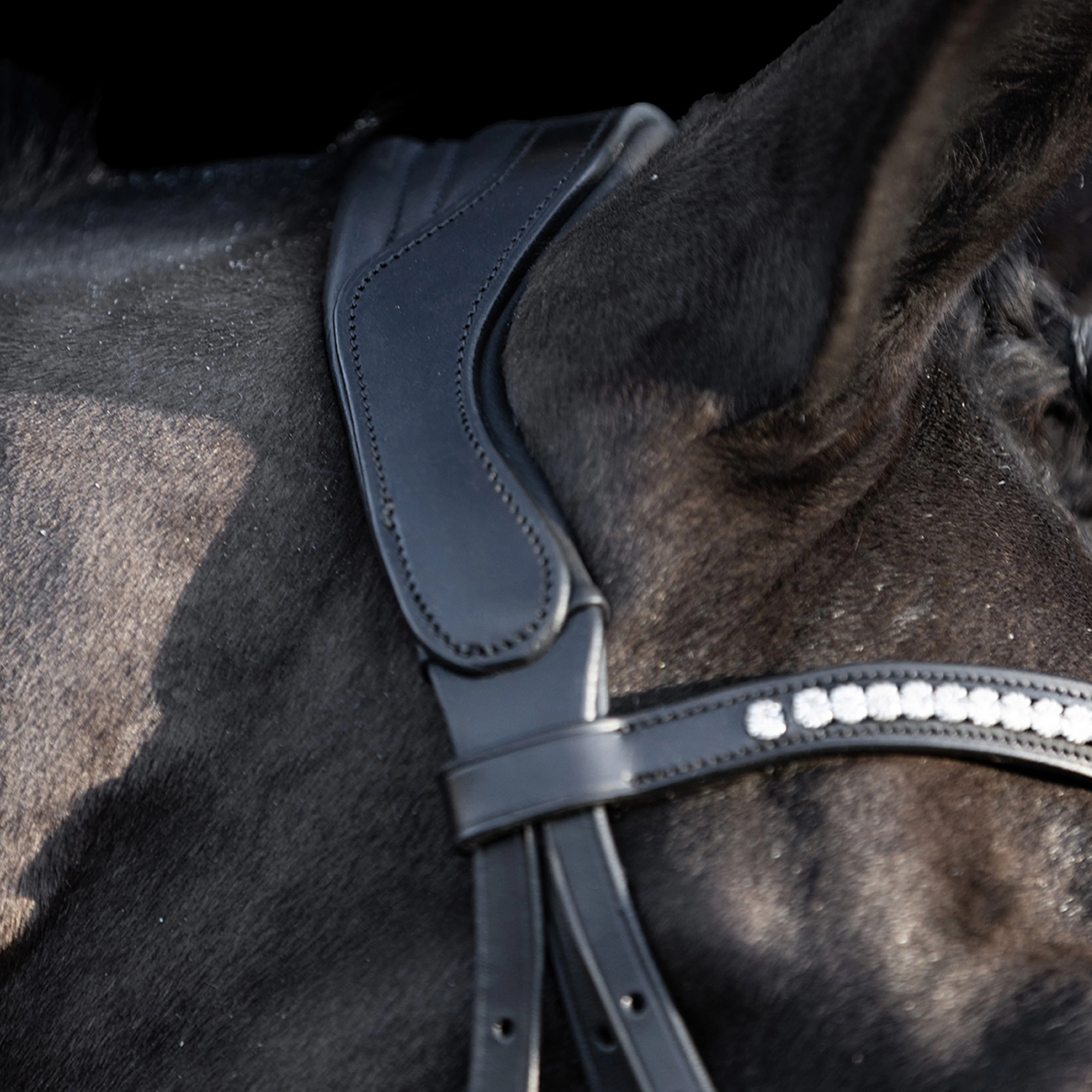 HV Polo Legacy Deluxe Bridle - Image 2