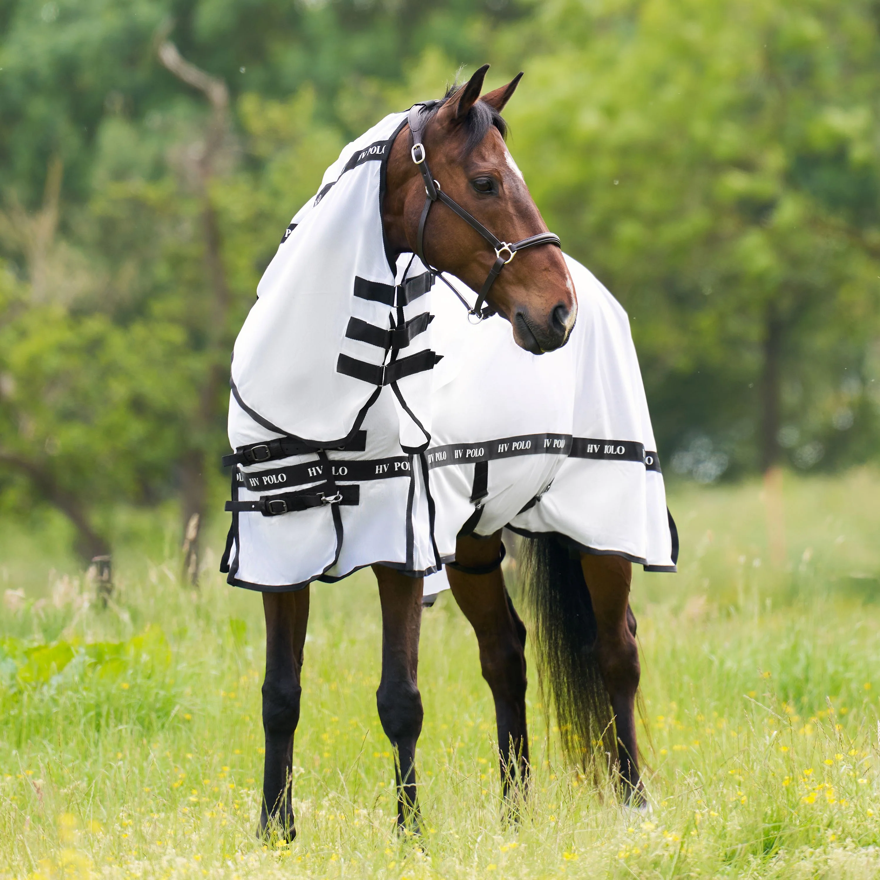 HV Polo Nena Fly Blanket - Image 11