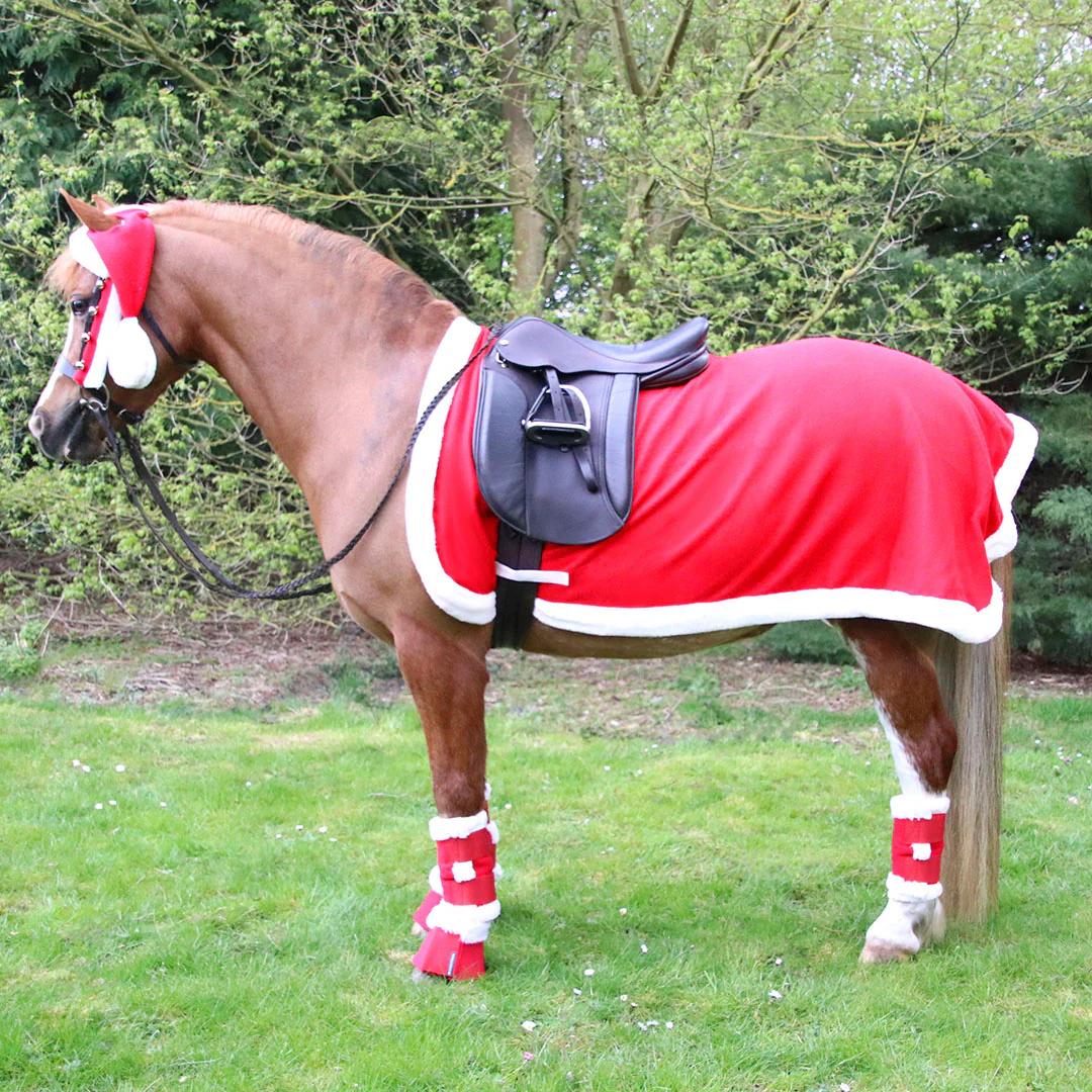 Hy Equestrian Christmas Santa Exercise Sheet - Image 2