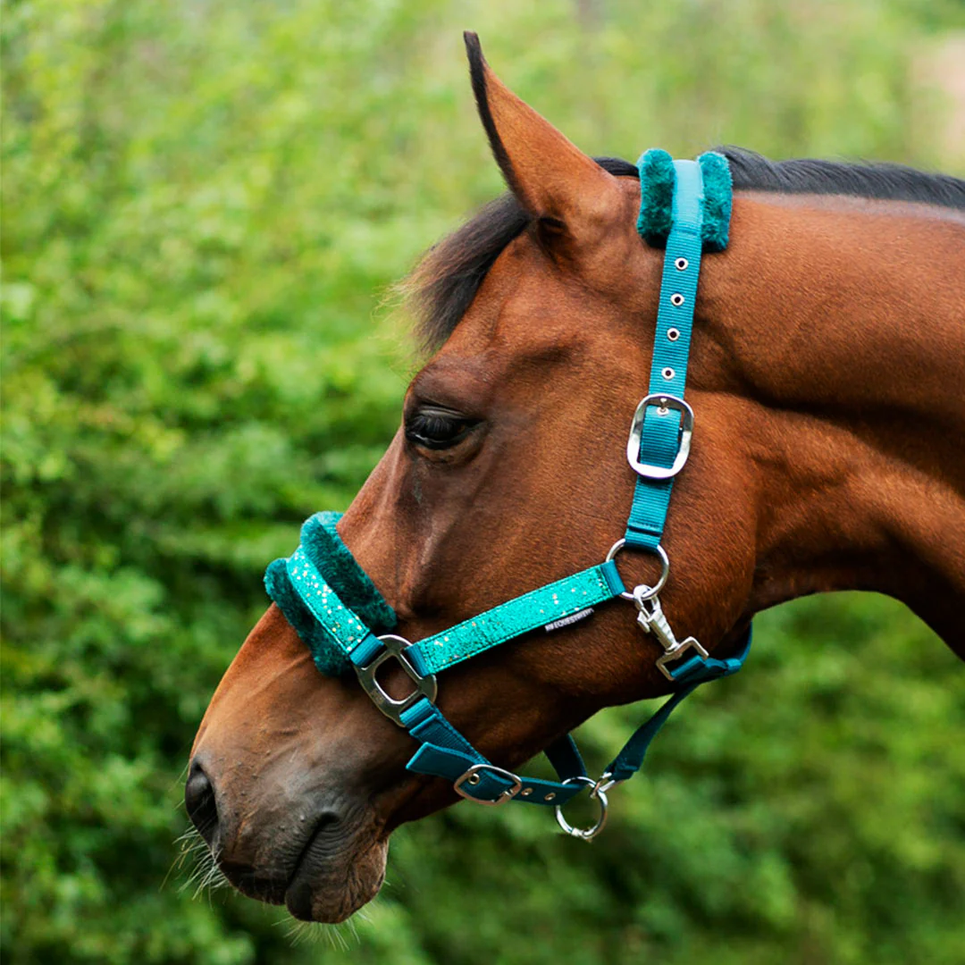 Hy Equestrian Dazzle Head Collar - Image 12