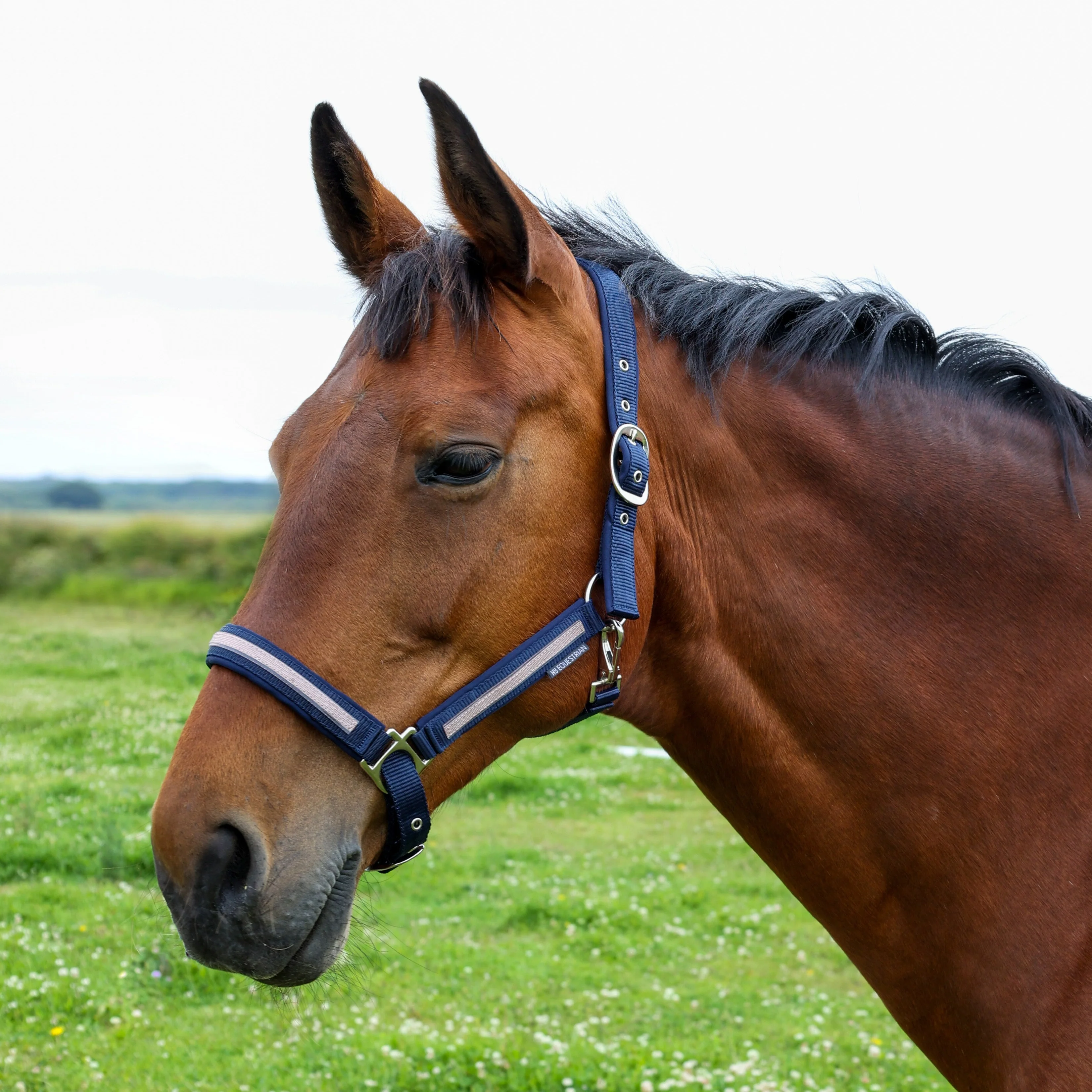 Hy Equestrian Mystic Head Collar - Image 2
